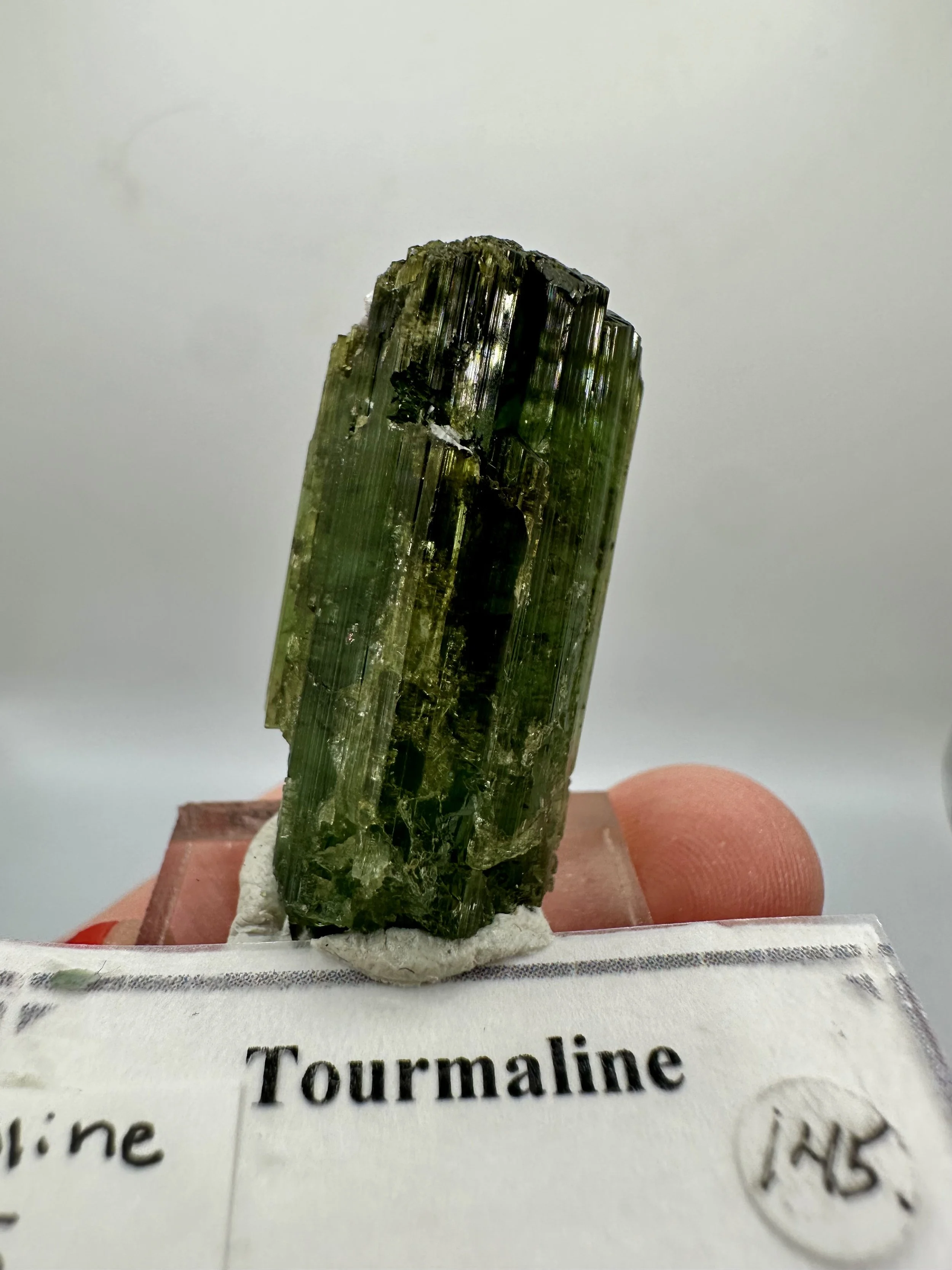 Photo Apr 04 2026, 2 47 00 PM.jpg