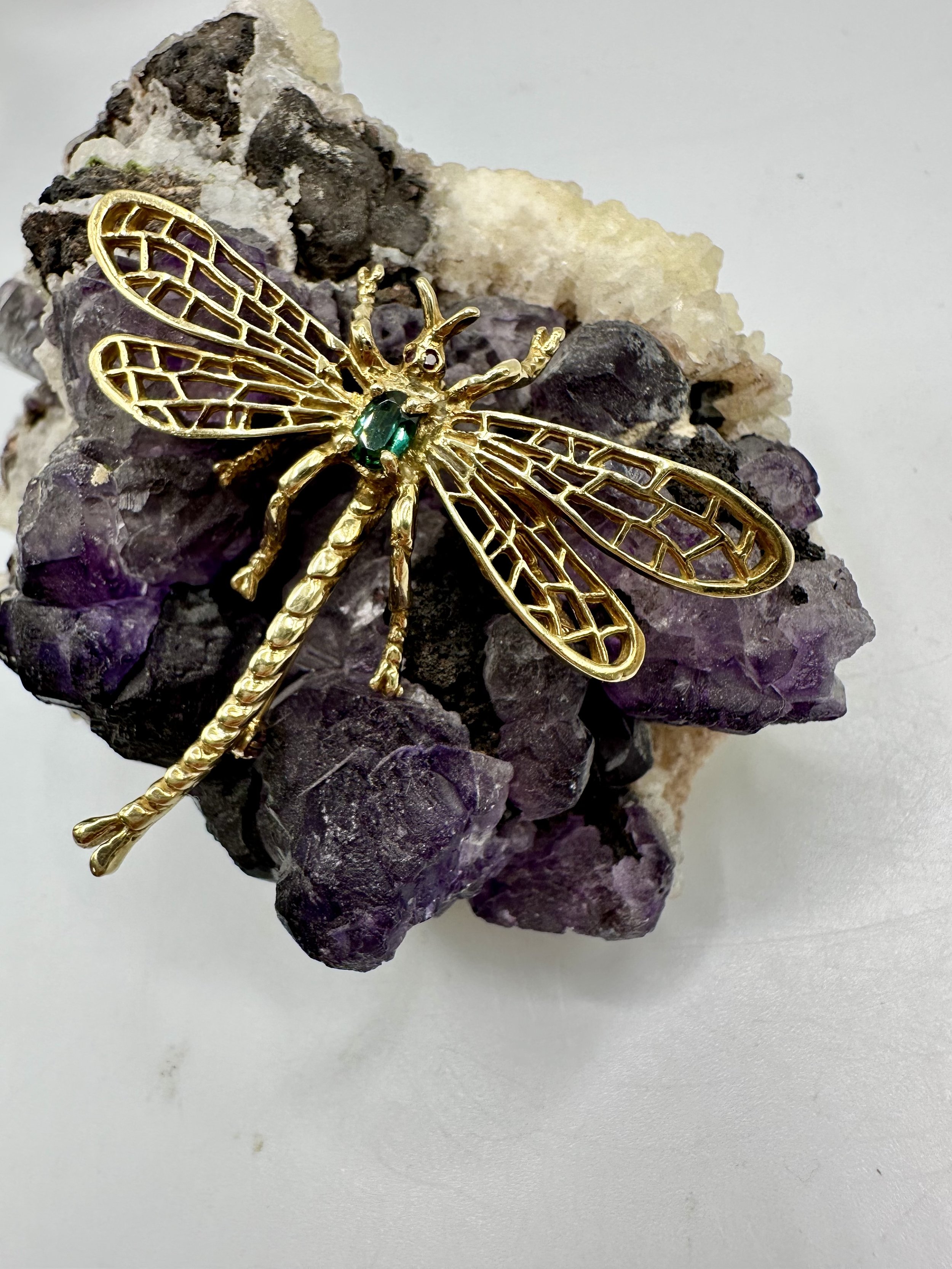 Photo Apr 04 2026, 12 45 15 PM.jpg