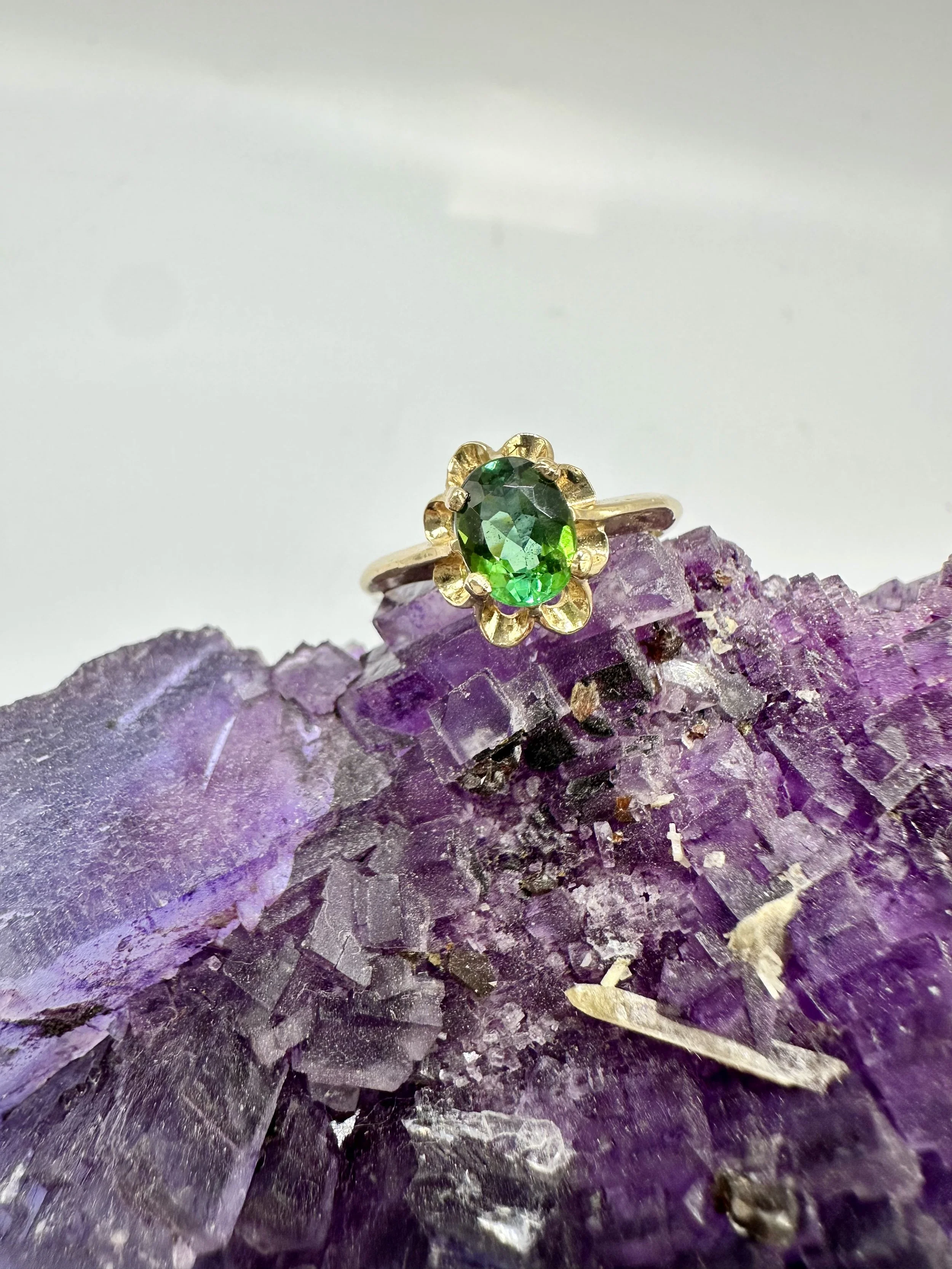 Photo Jan 10 2026, 3 31 46 PM.jpg