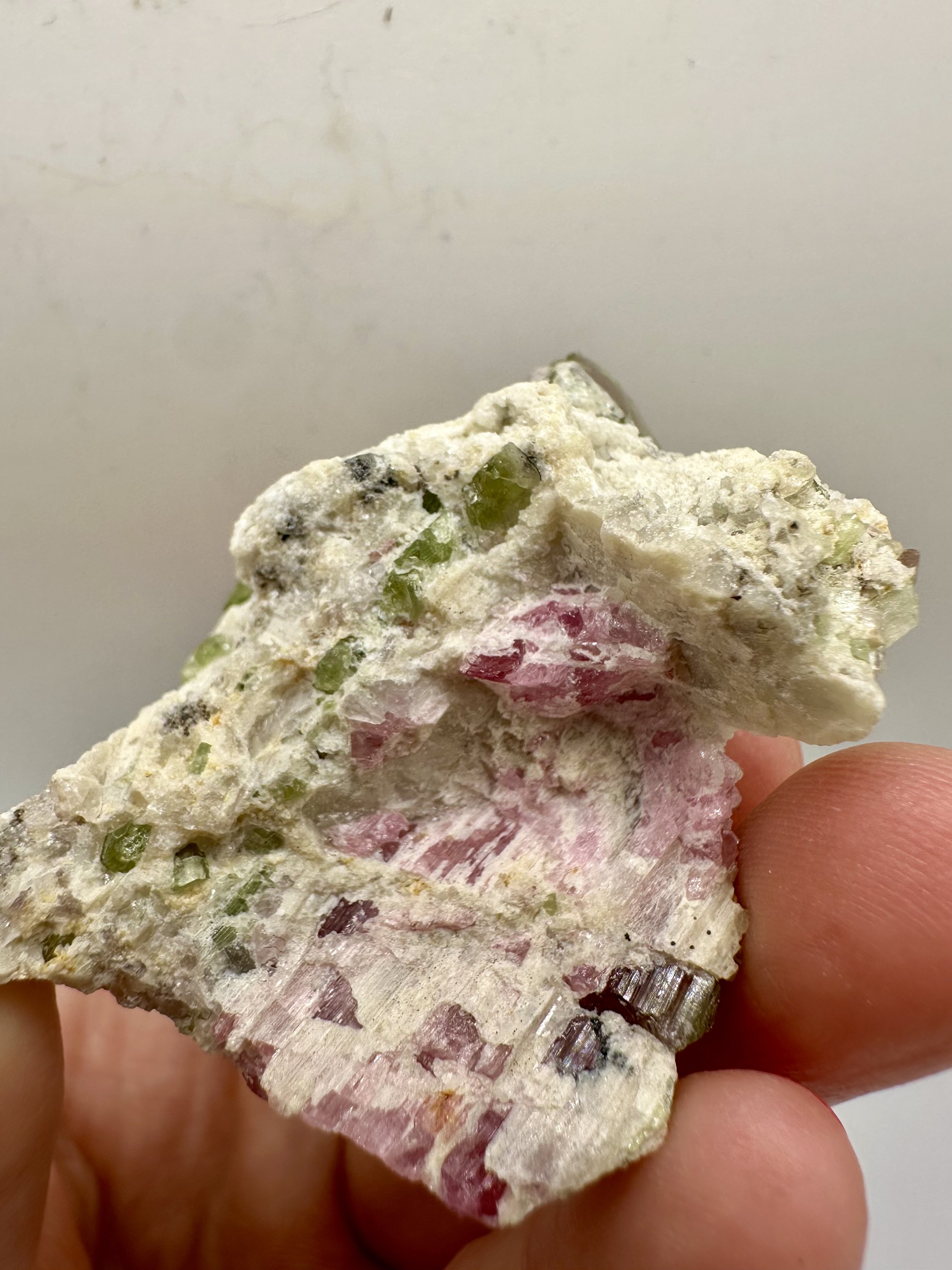 Photo Apr 04 2026, 2 50 39 PM.jpg