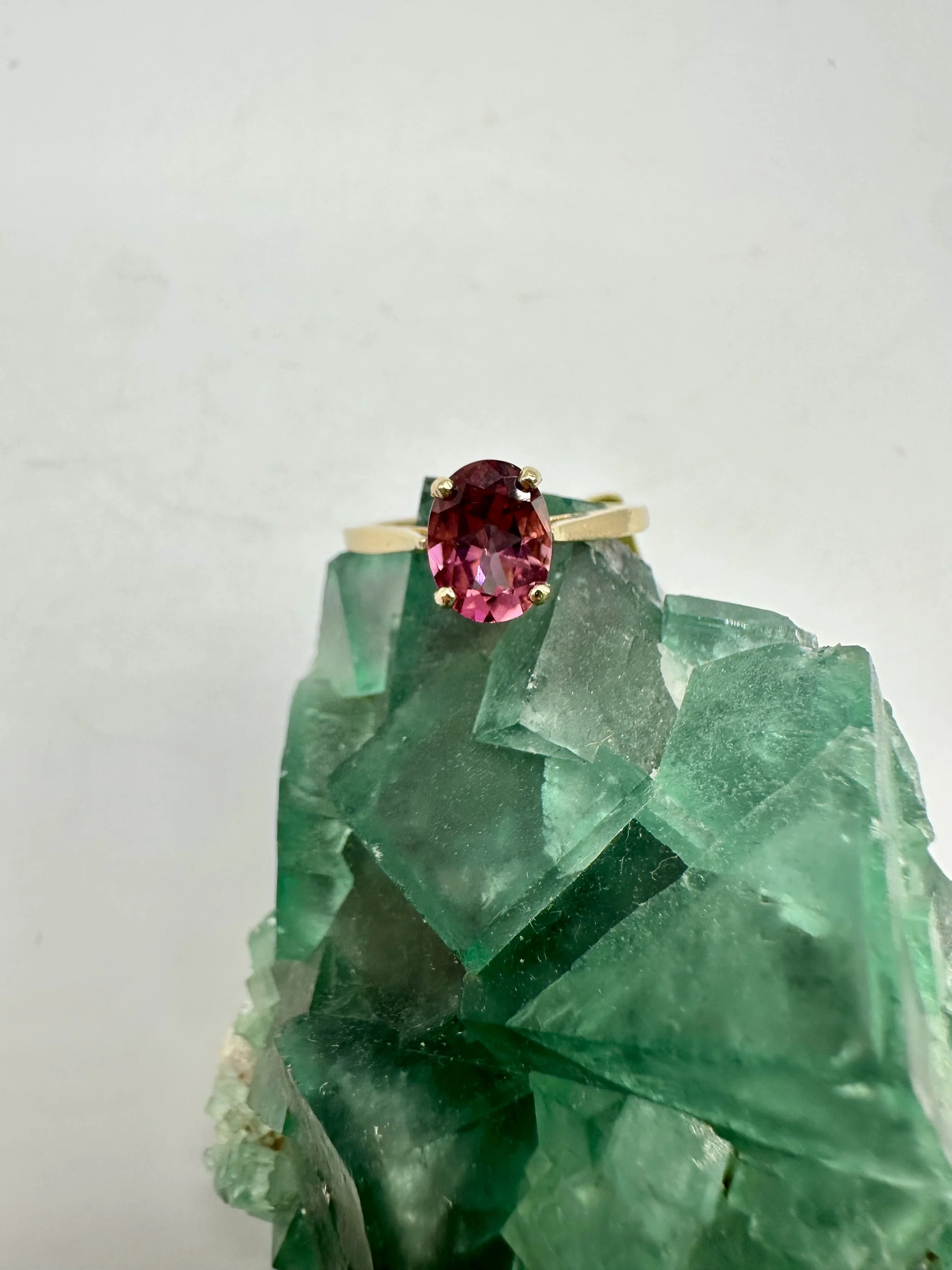 Photo Apr 04 2026, 12 02 36 PM.jpg