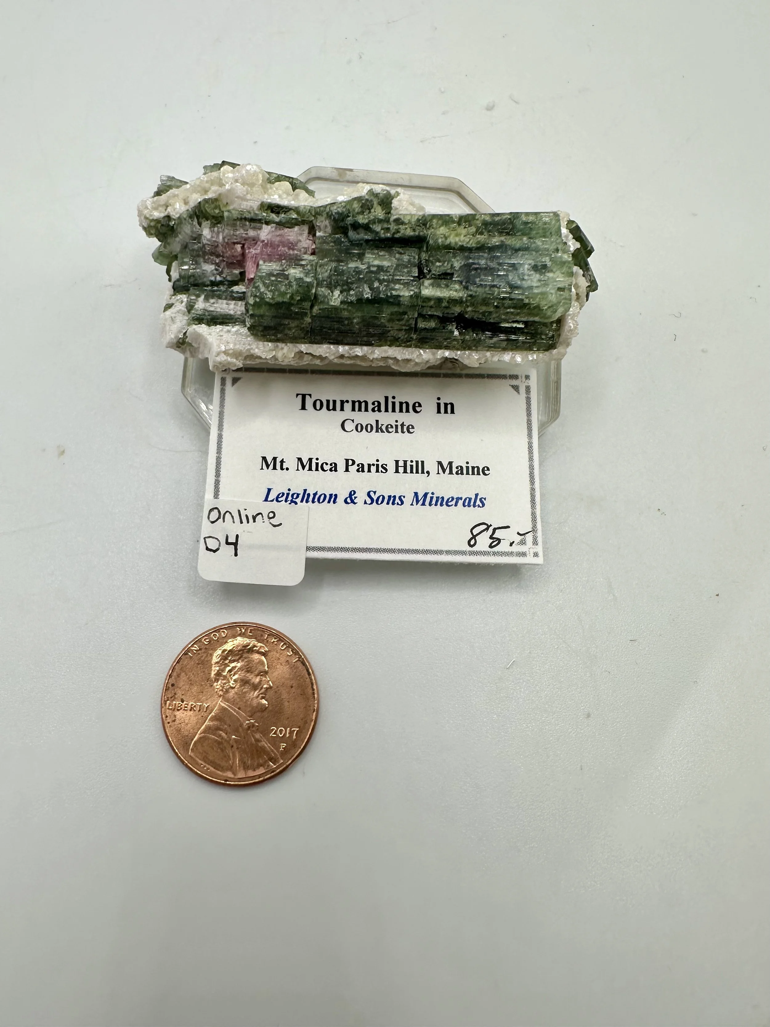 Photo Apr 04 2026, 2 45 20 PM.jpg