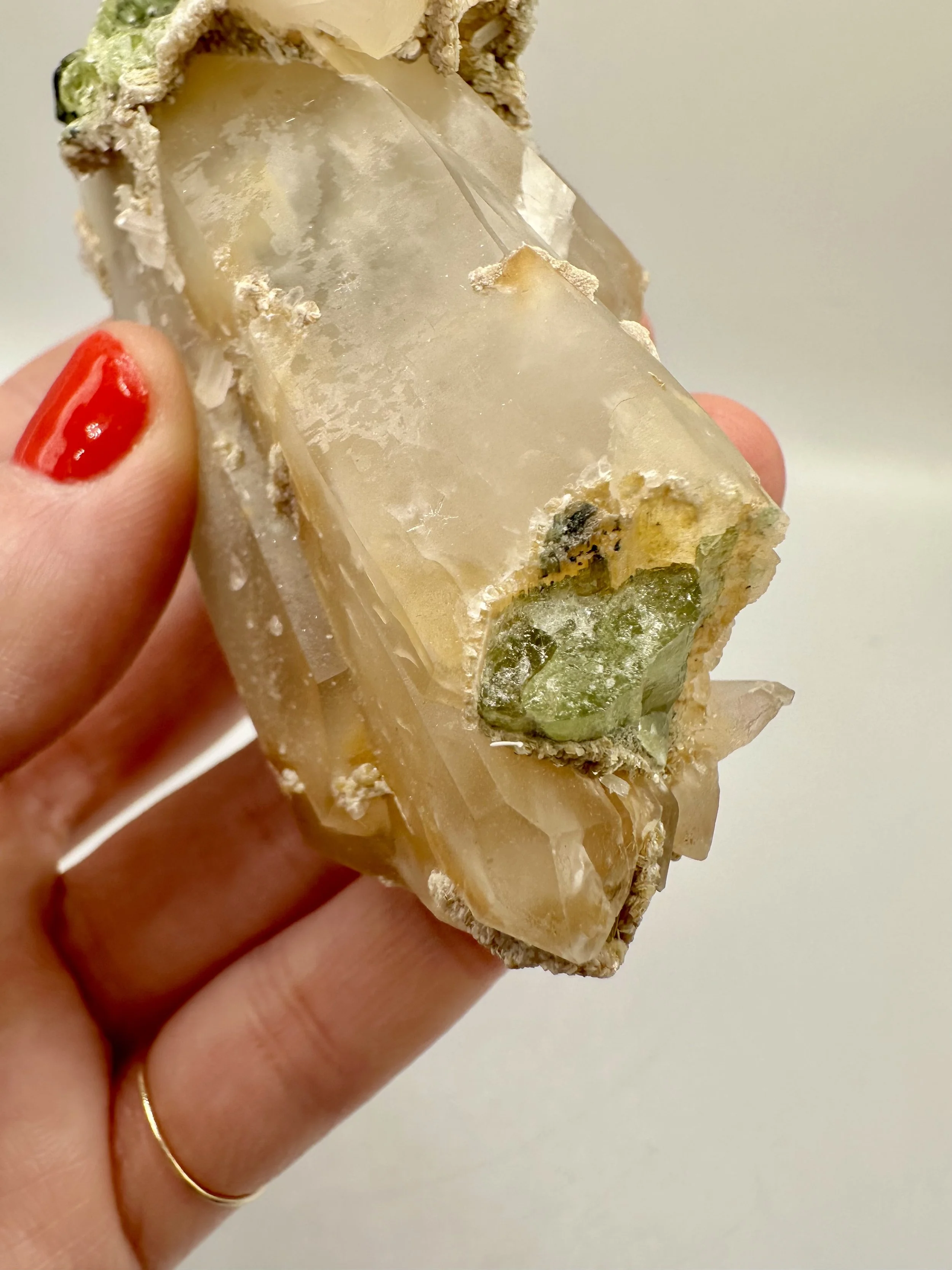 Photo Apr 04 2026, 2 42 52 PM.jpg