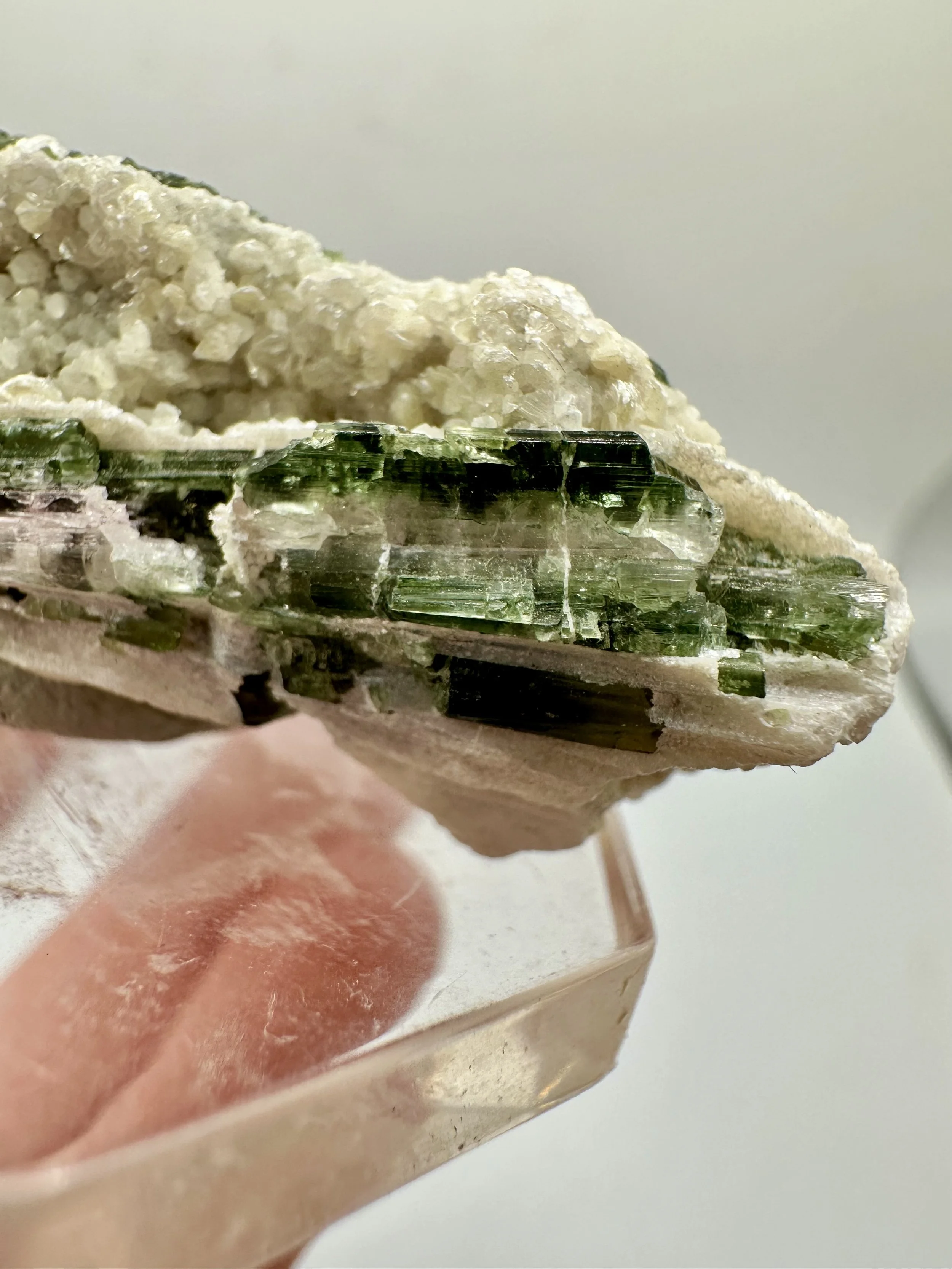 Photo Apr 04 2026, 2 46 03 PM.jpg