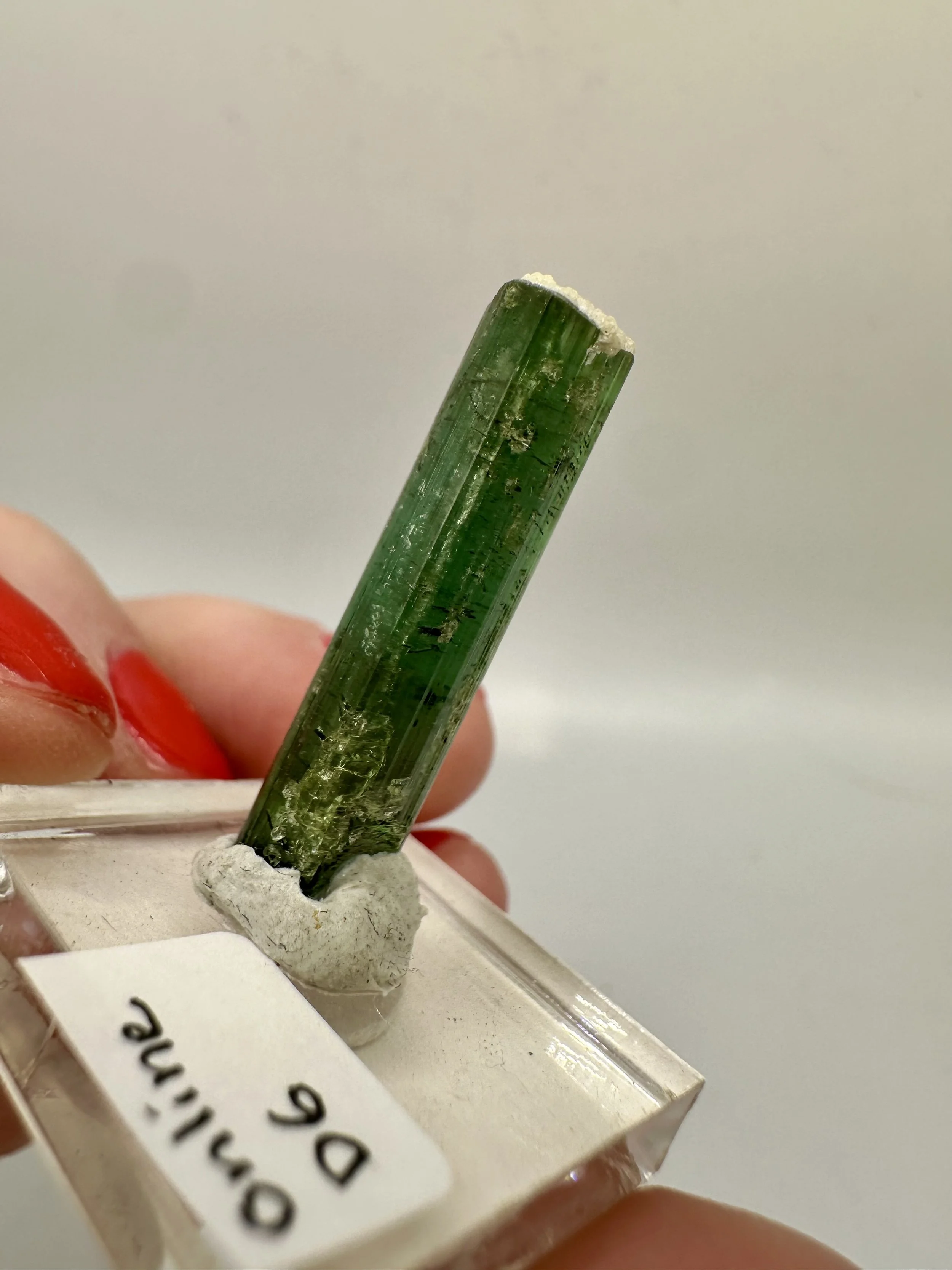 Photo Apr 04 2026, 2 48 45 PM.jpg