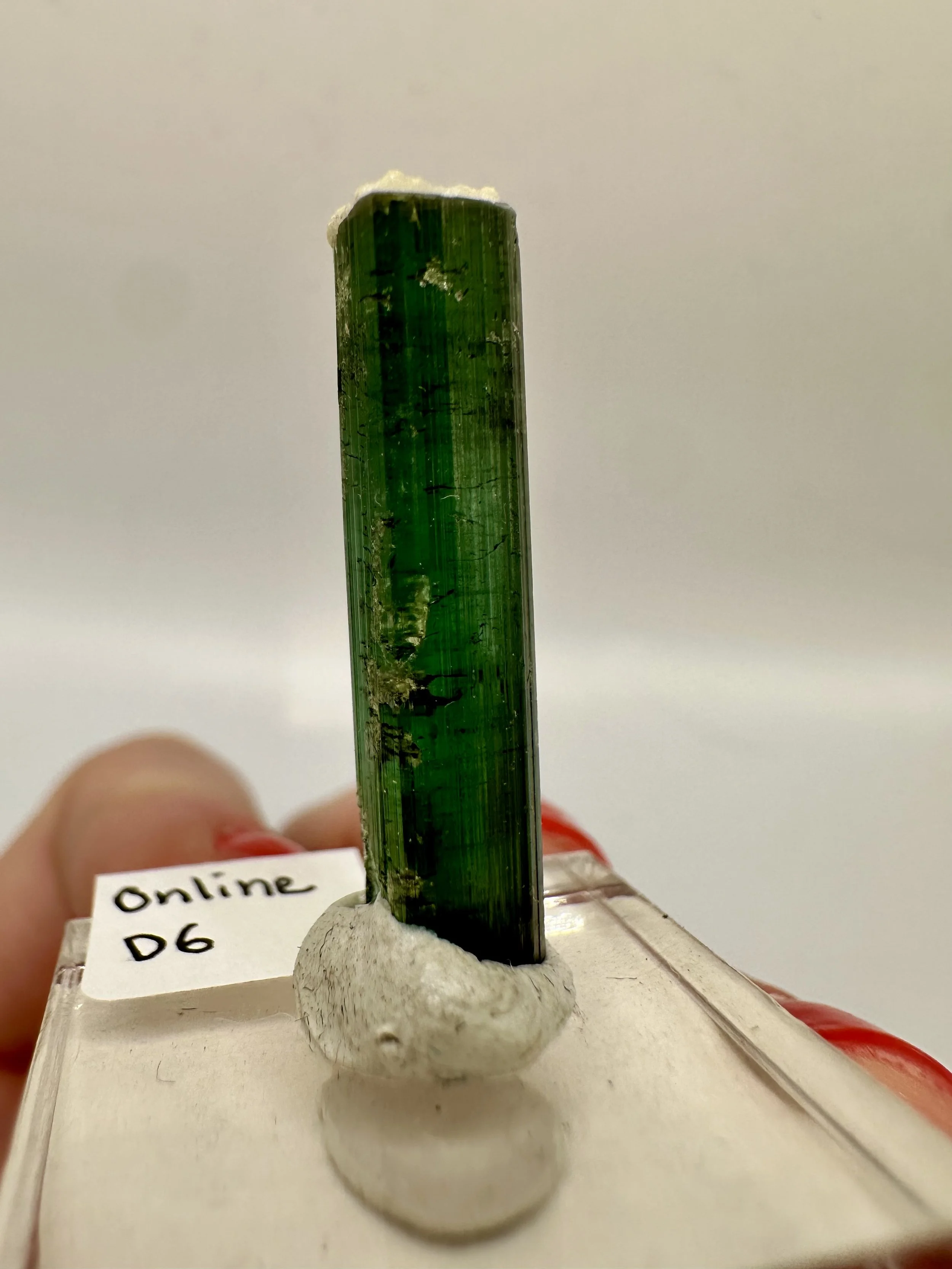 Photo Apr 04 2026, 2 48 28 PM.jpg