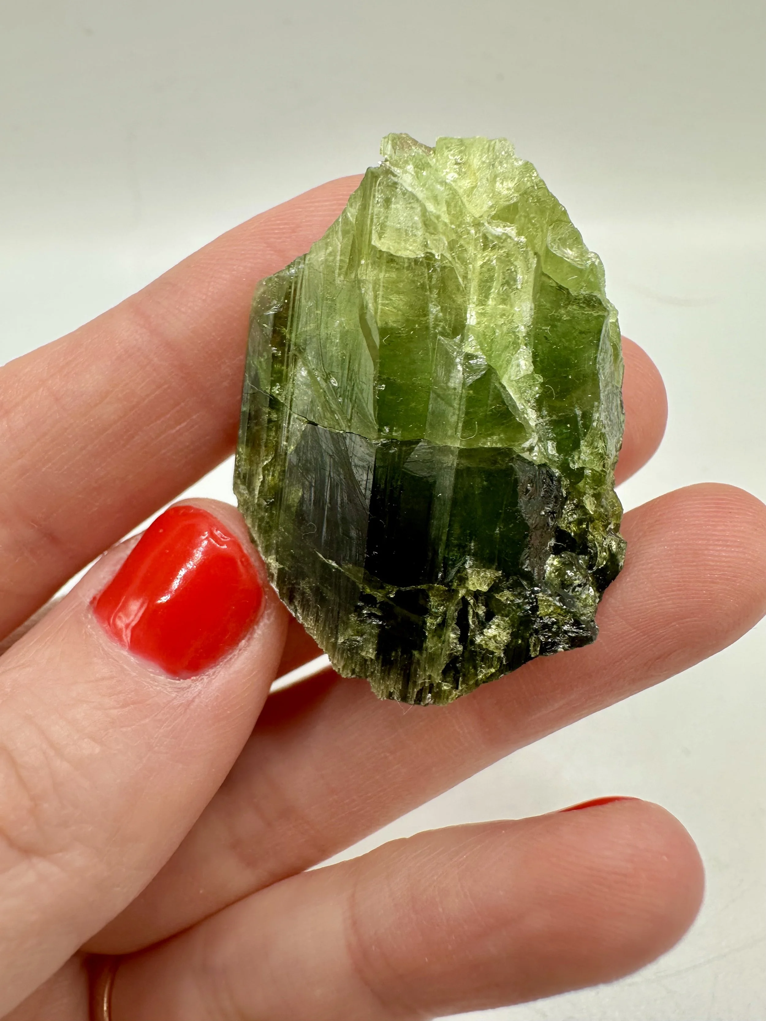 Photo Apr 04 2026, 2 37 00 PM.jpg