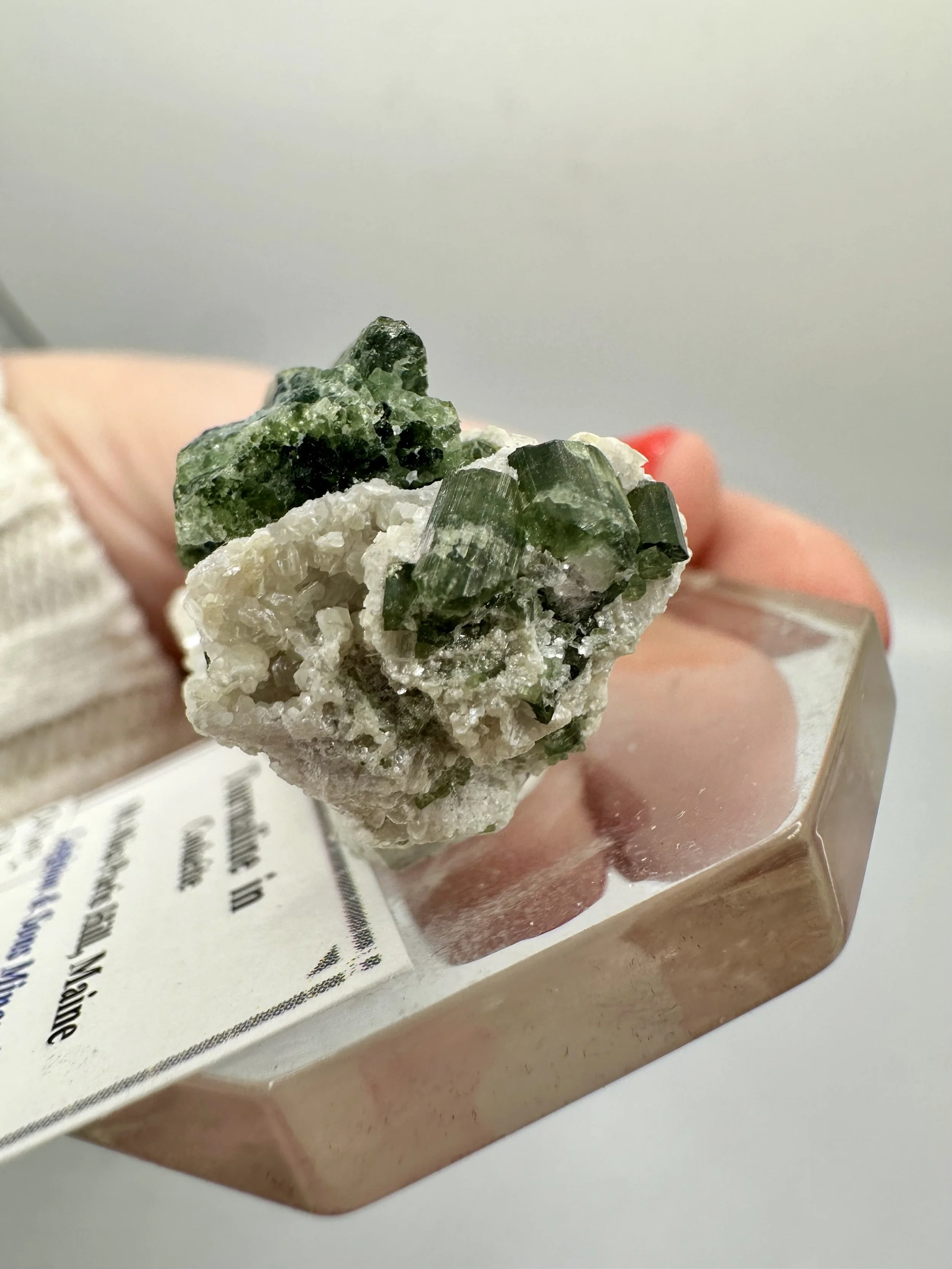 Photo Apr 04 2026, 2 45 55 PM.jpg