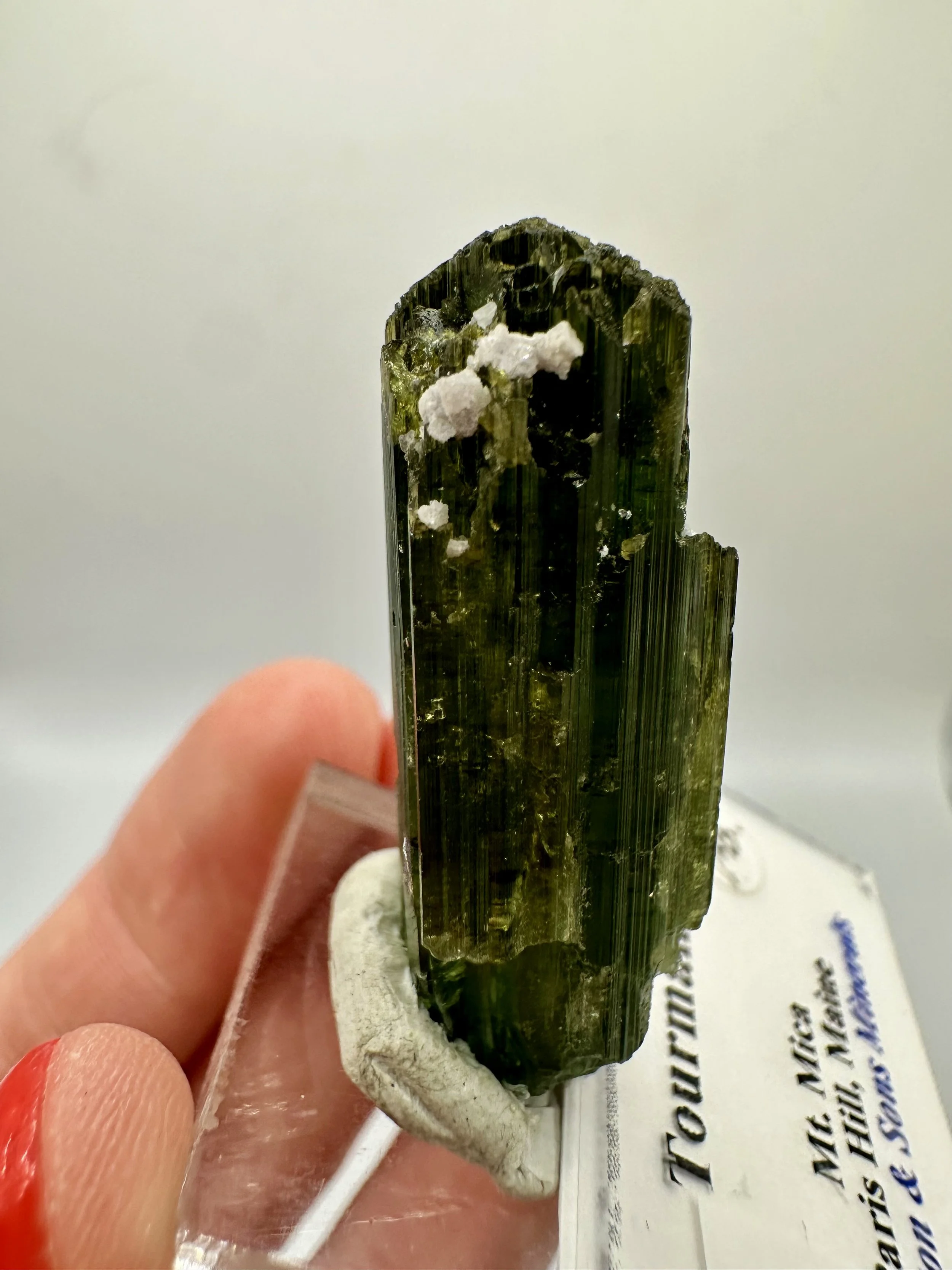 Photo Apr 04 2026, 2 47 07 PM.jpg