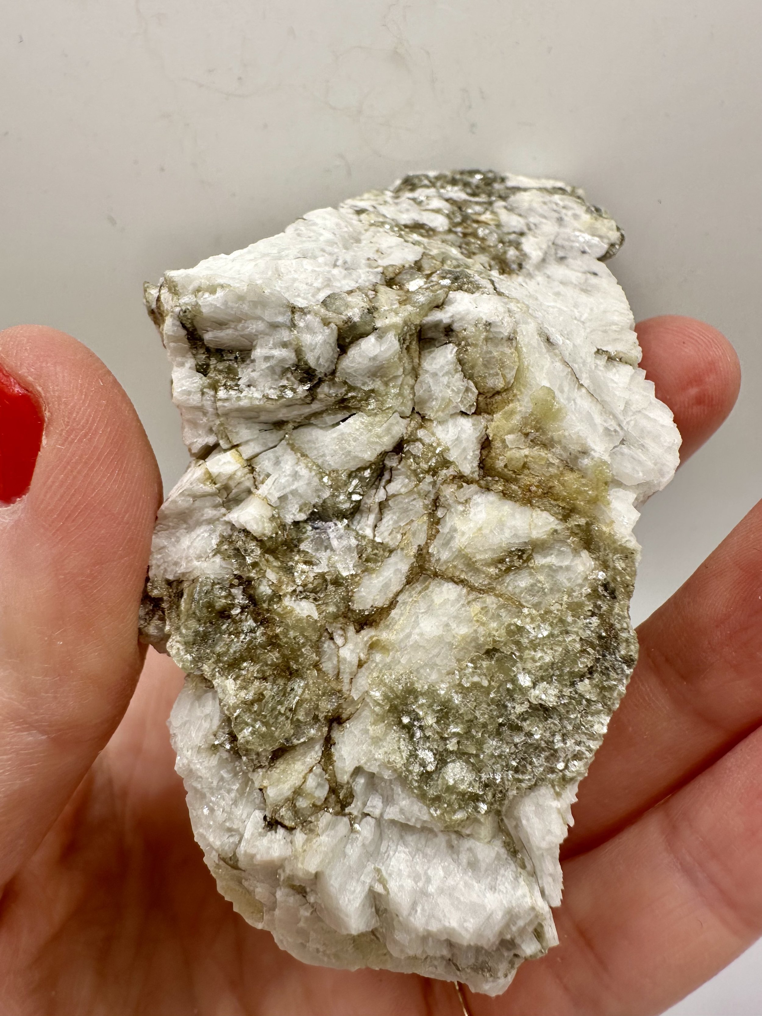 Photo Apr 04 2026, 2 40 13 PM.jpg