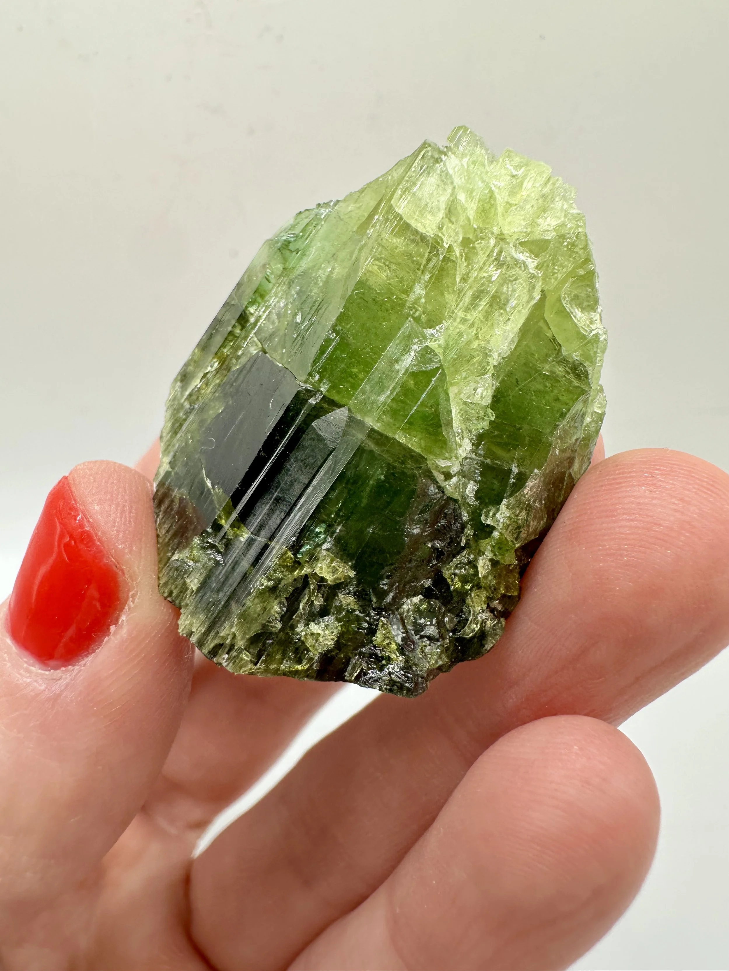 Photo Apr 04 2026, 2 37 17 PM.jpg