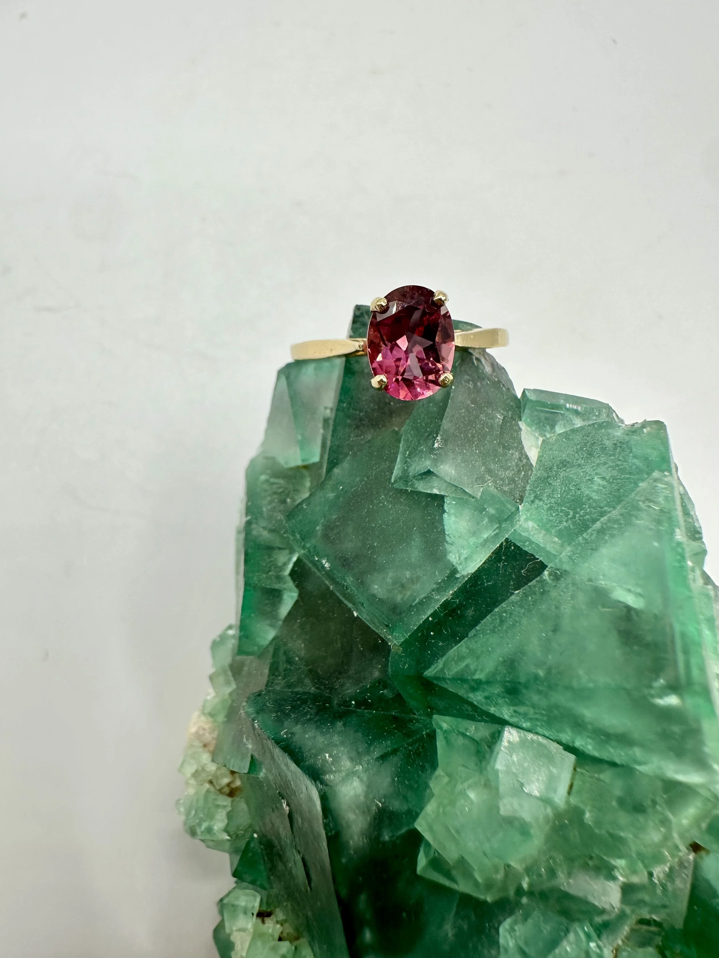 Photo Apr 04 2026, 12 02 23 PM.jpg