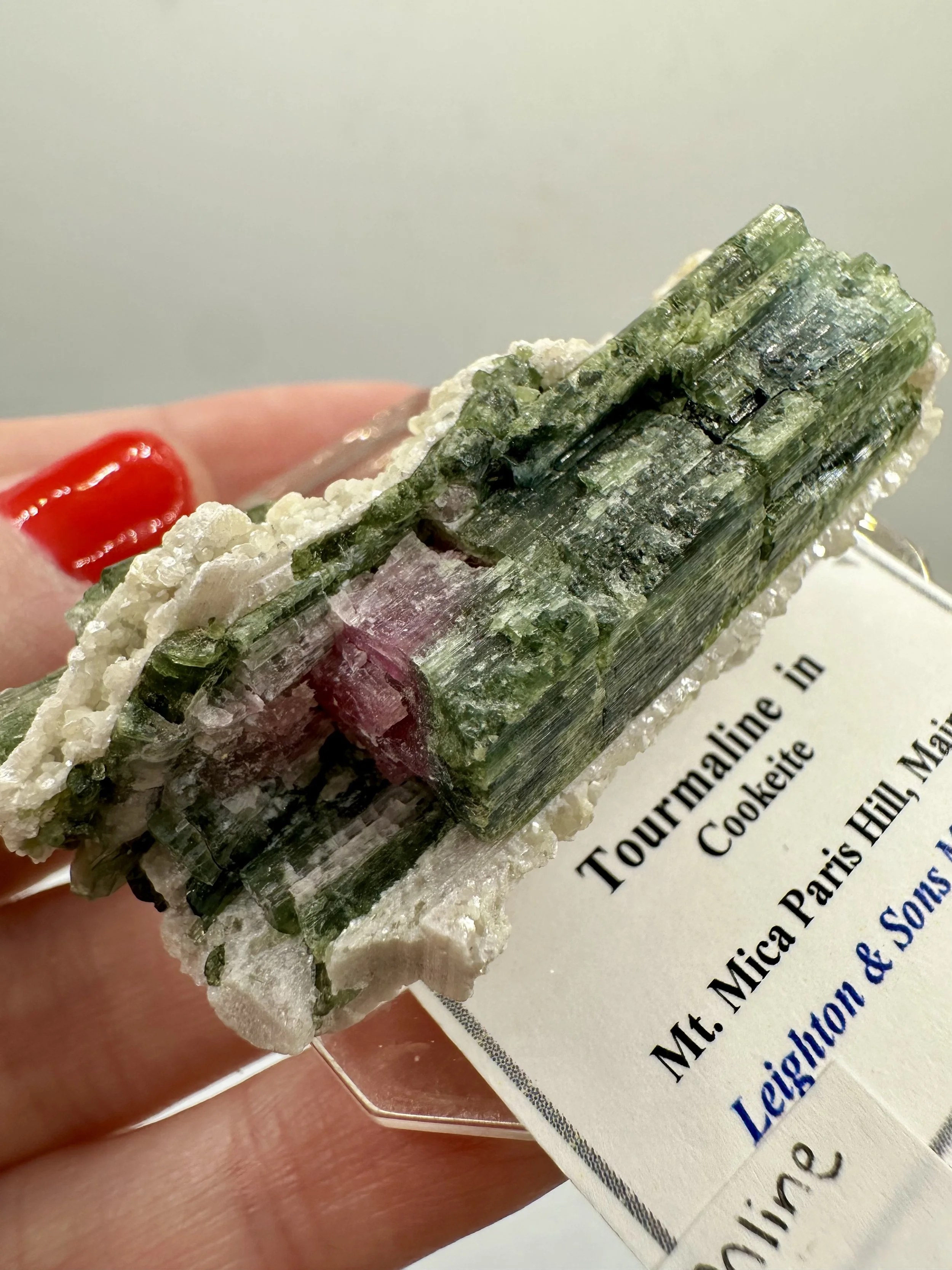 Photo Apr 04 2026, 2 45 45 PM.jpg