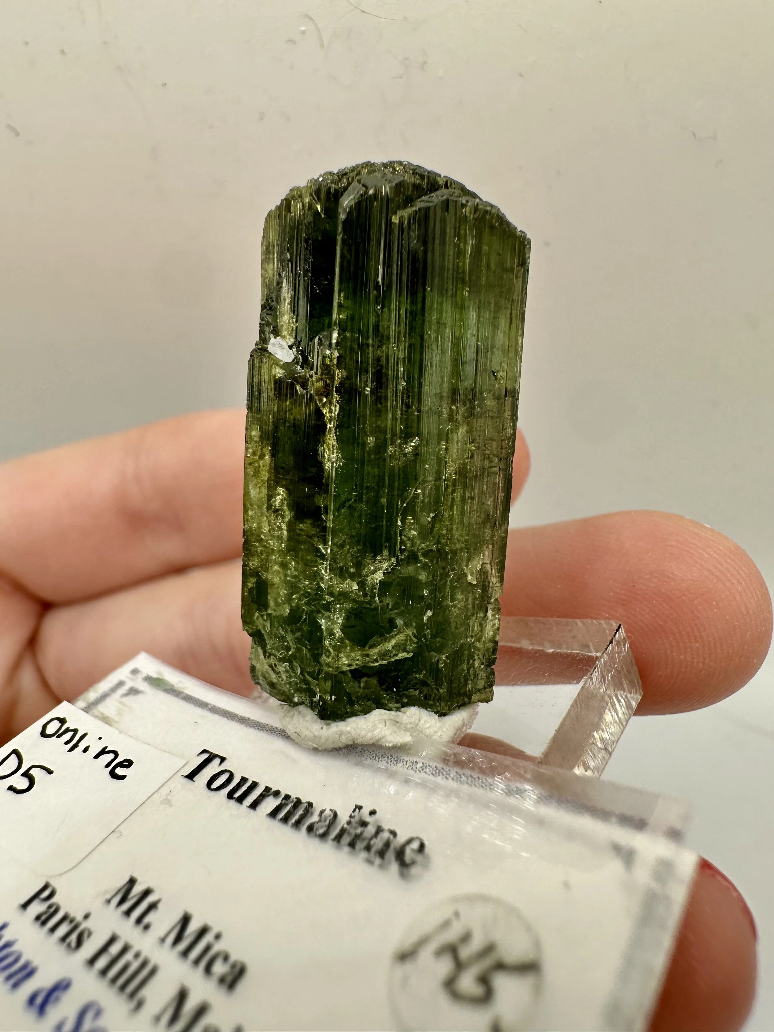 Photo Apr 04 2026, 2 47 34 PM.jpg