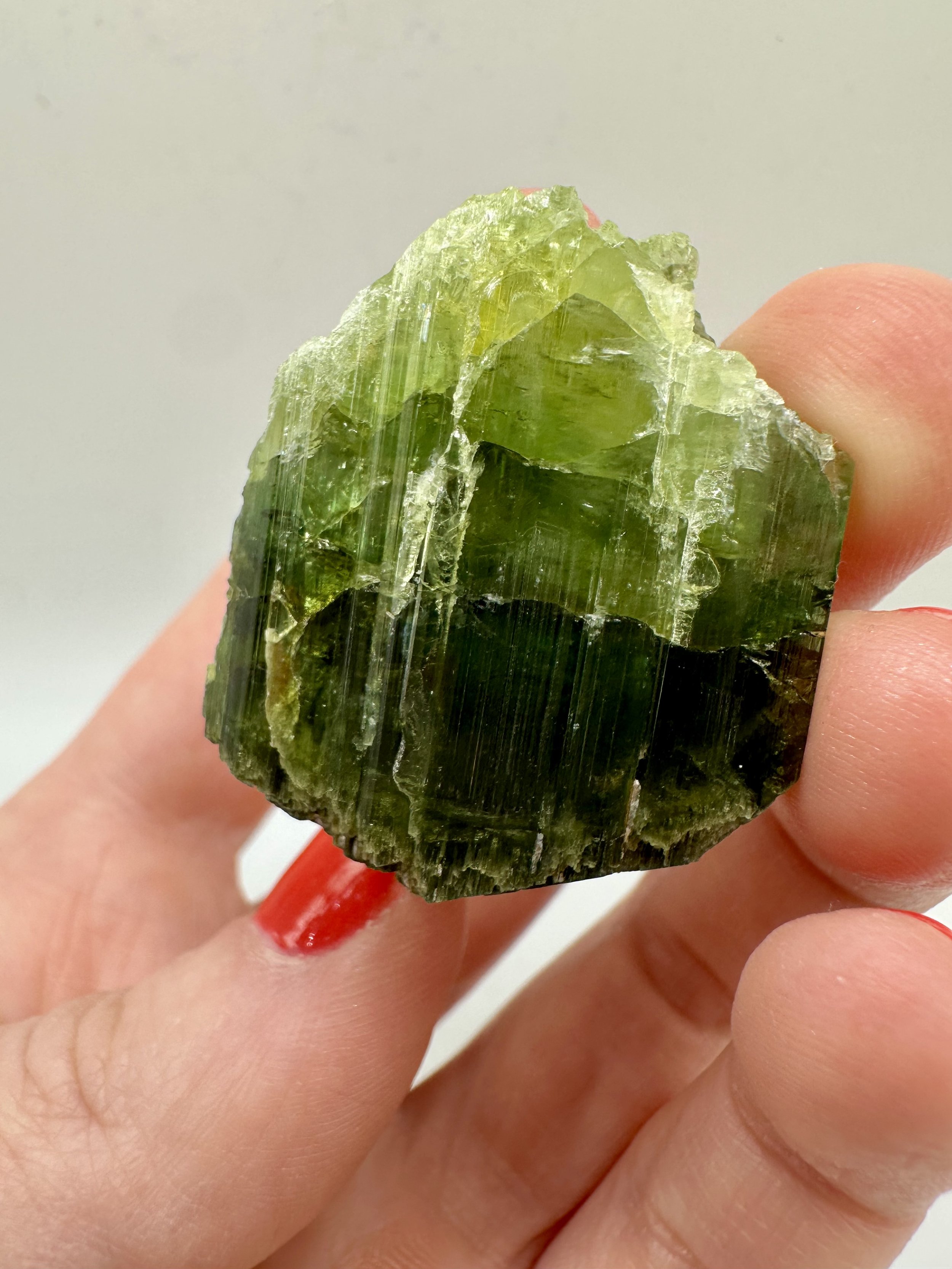 Photo Apr 04 2026, 2 37 27 PM.jpg