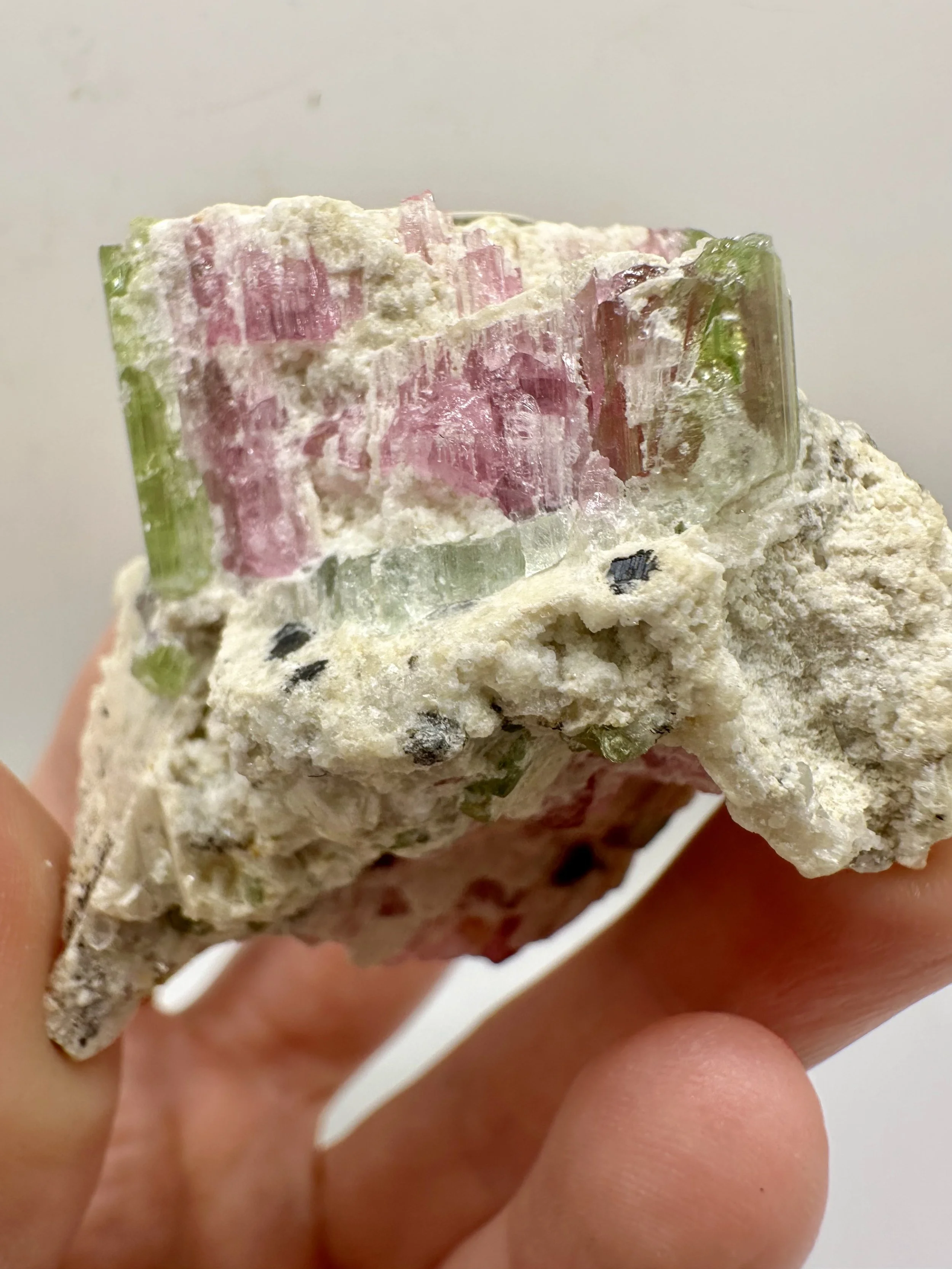 Photo Apr 04 2026, 2 50 37 PM.jpg