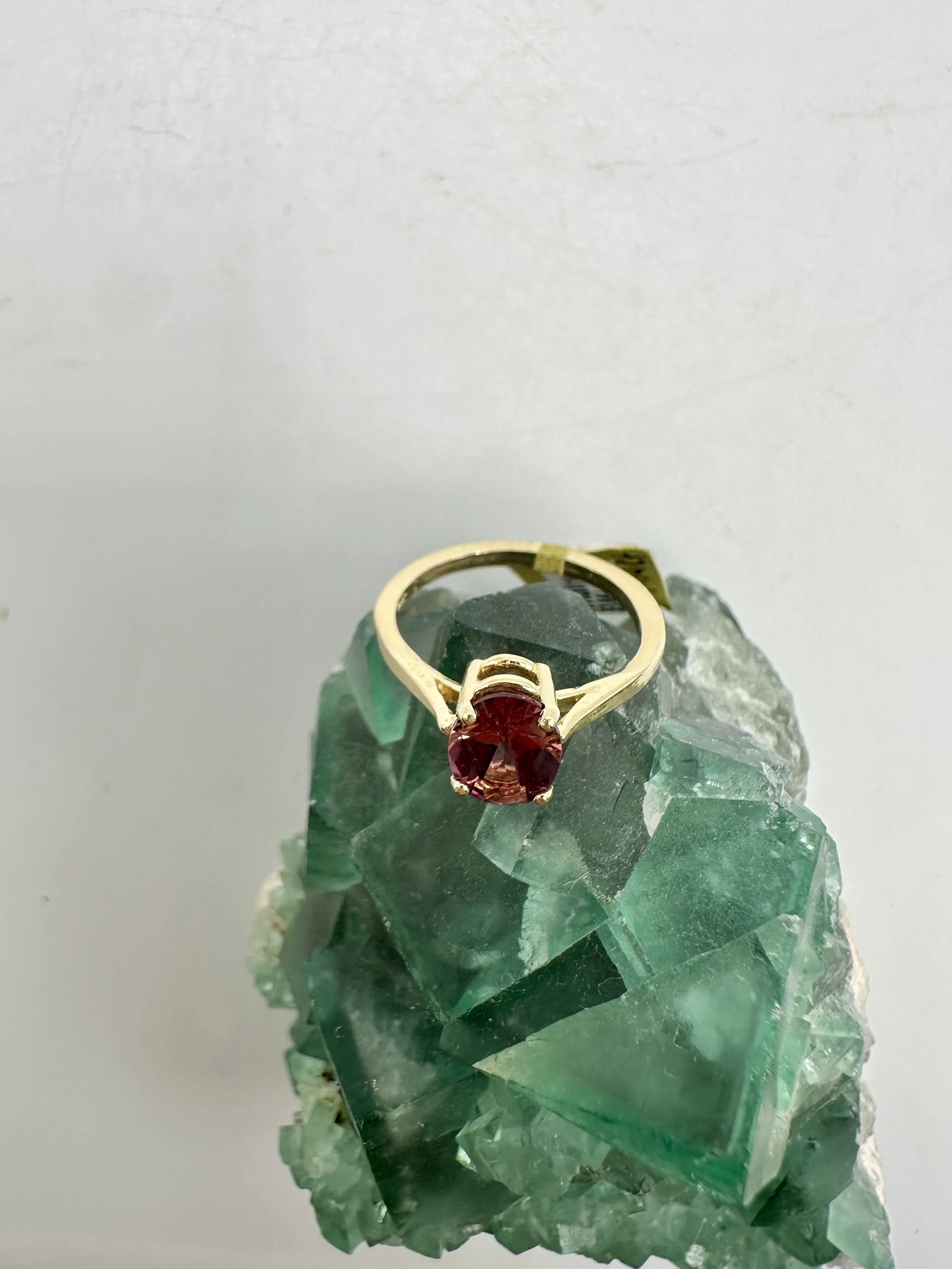 Photo Apr 04 2026, 12 02 32 PM.jpg