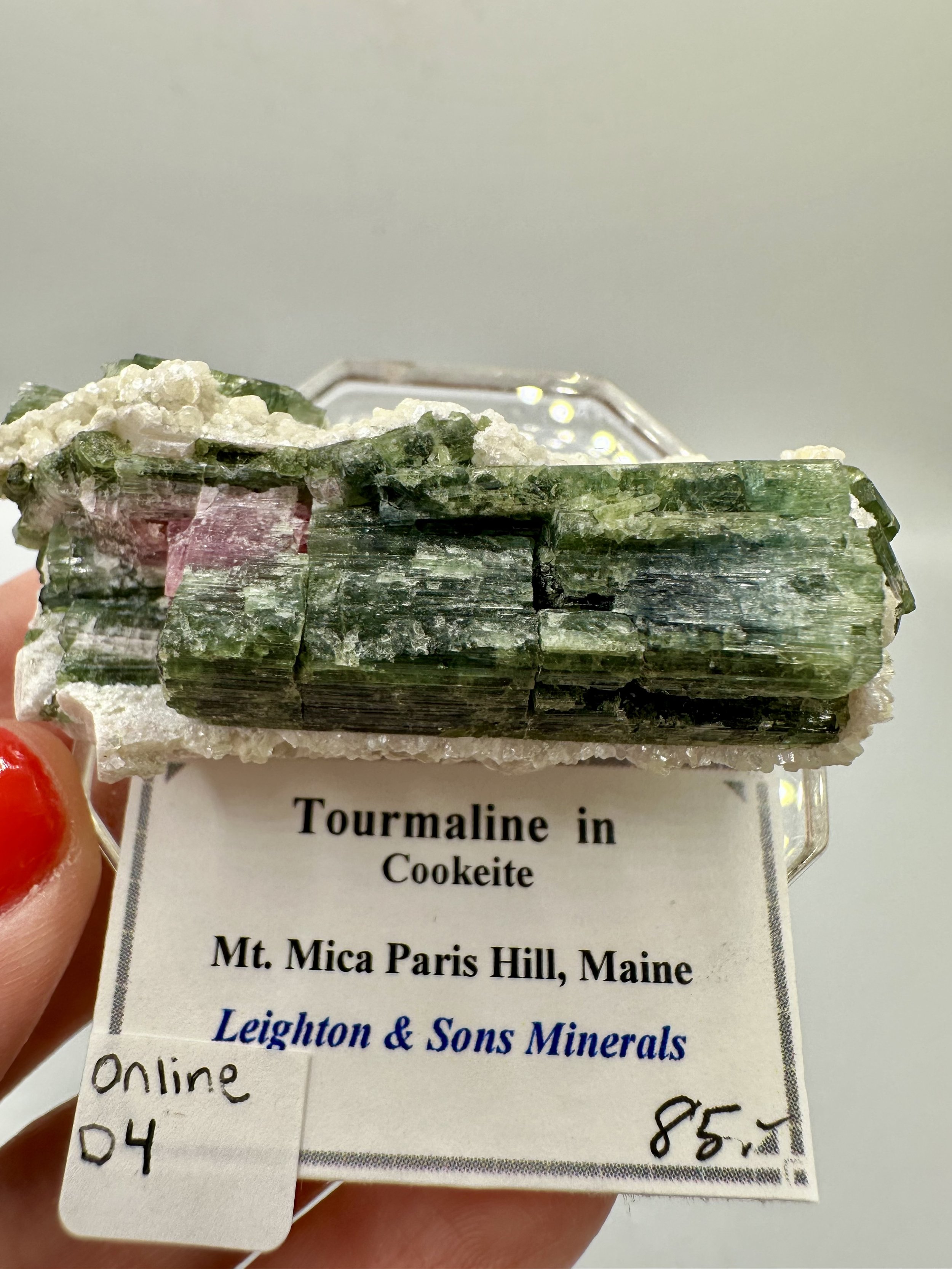 Photo Apr 04 2026, 2 45 35 PM.jpg