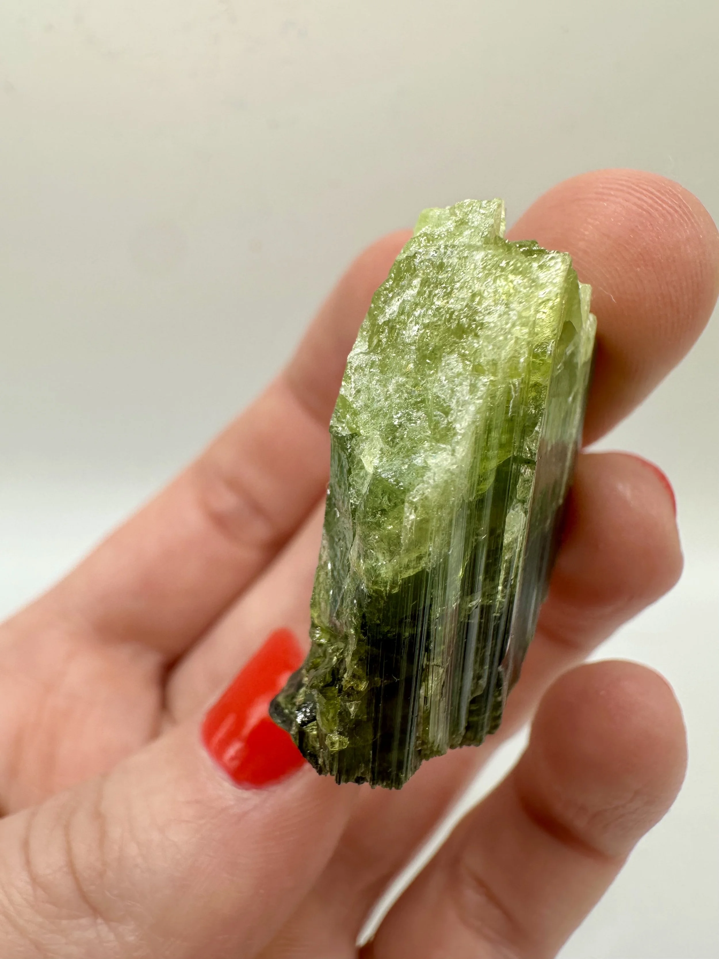 Photo Apr 04 2026, 2 37 25 PM.jpg