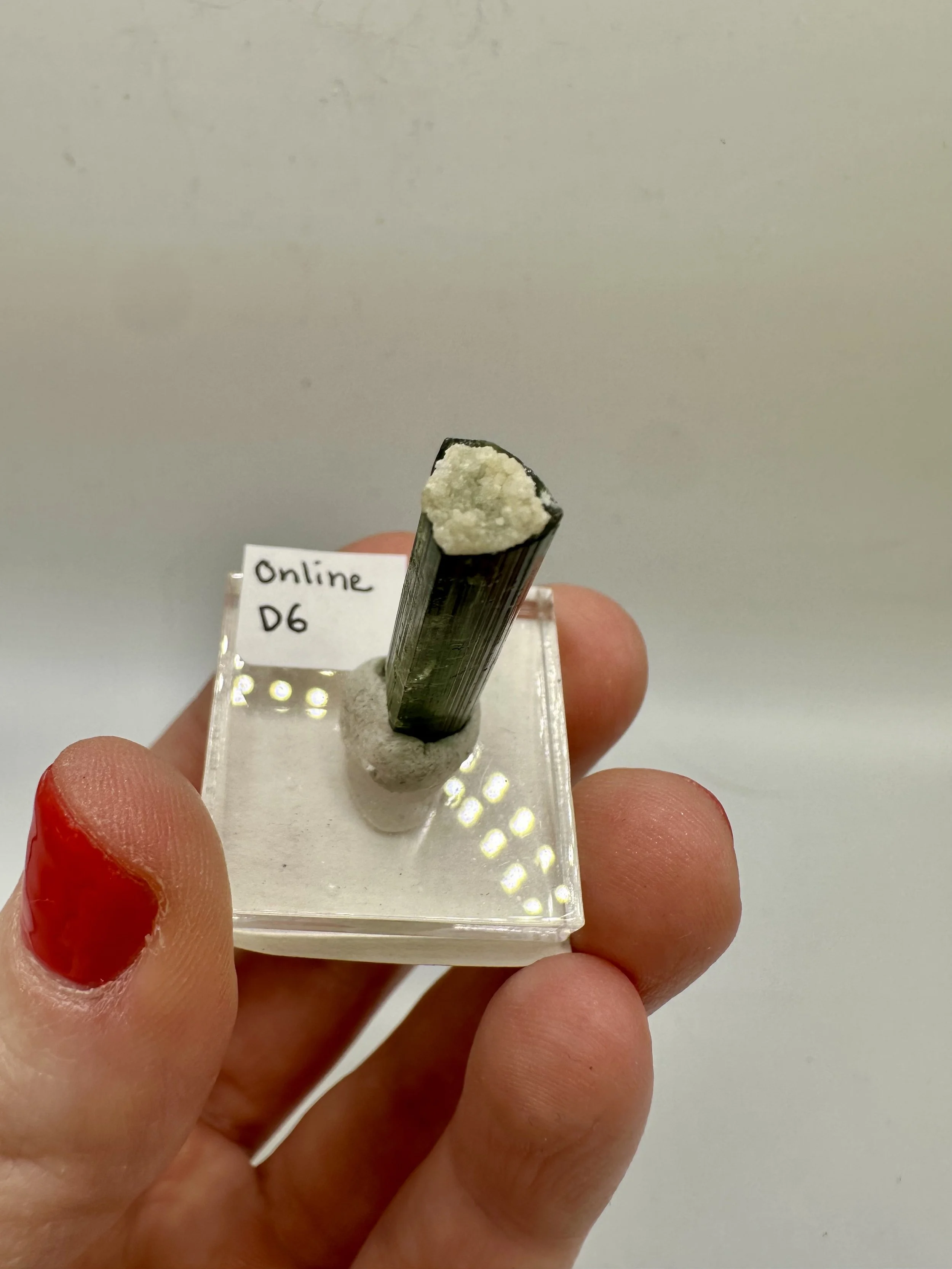 Photo Apr 04 2026, 2 48 42 PM.jpg