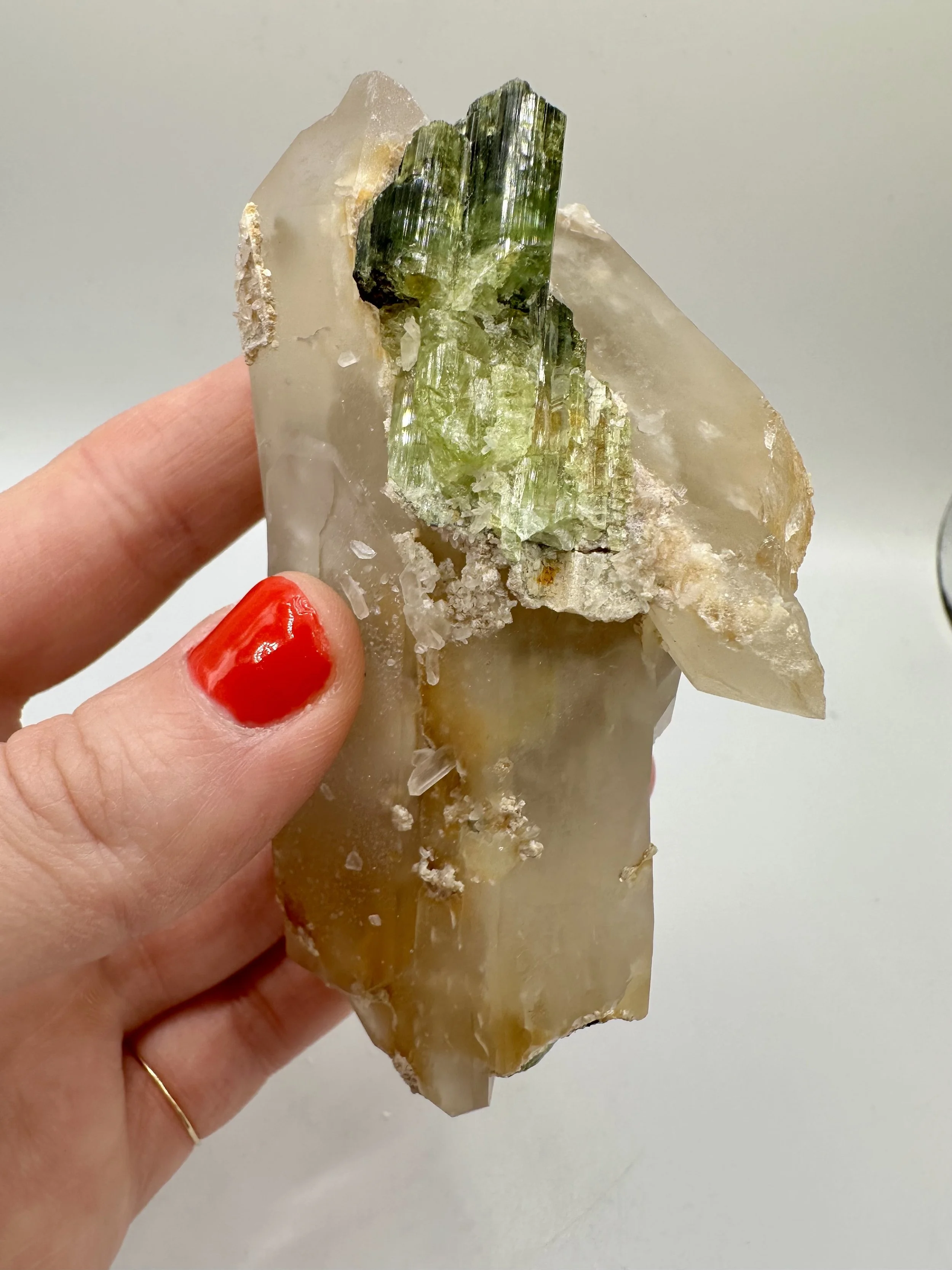 Photo Apr 04 2026, 2 42 43 PM.jpg