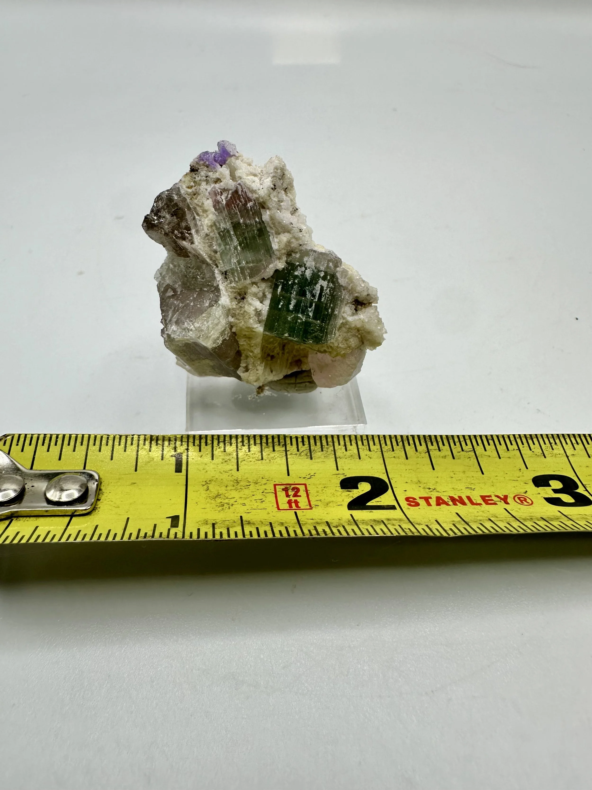 Photo Apr 04 2026, 2 54 05 PM.jpg