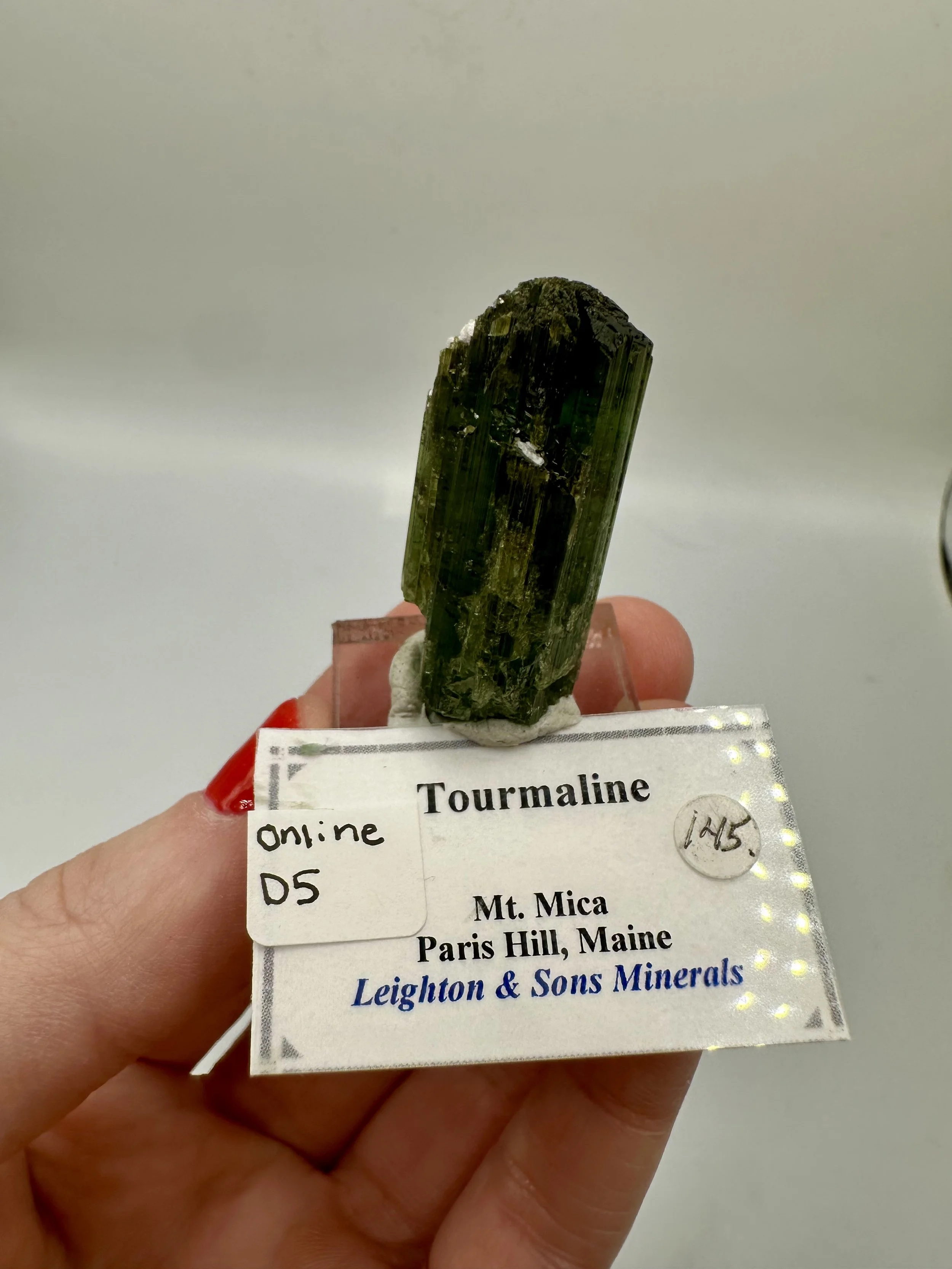 Photo Apr 04 2026, 2 46 37 PM.jpg