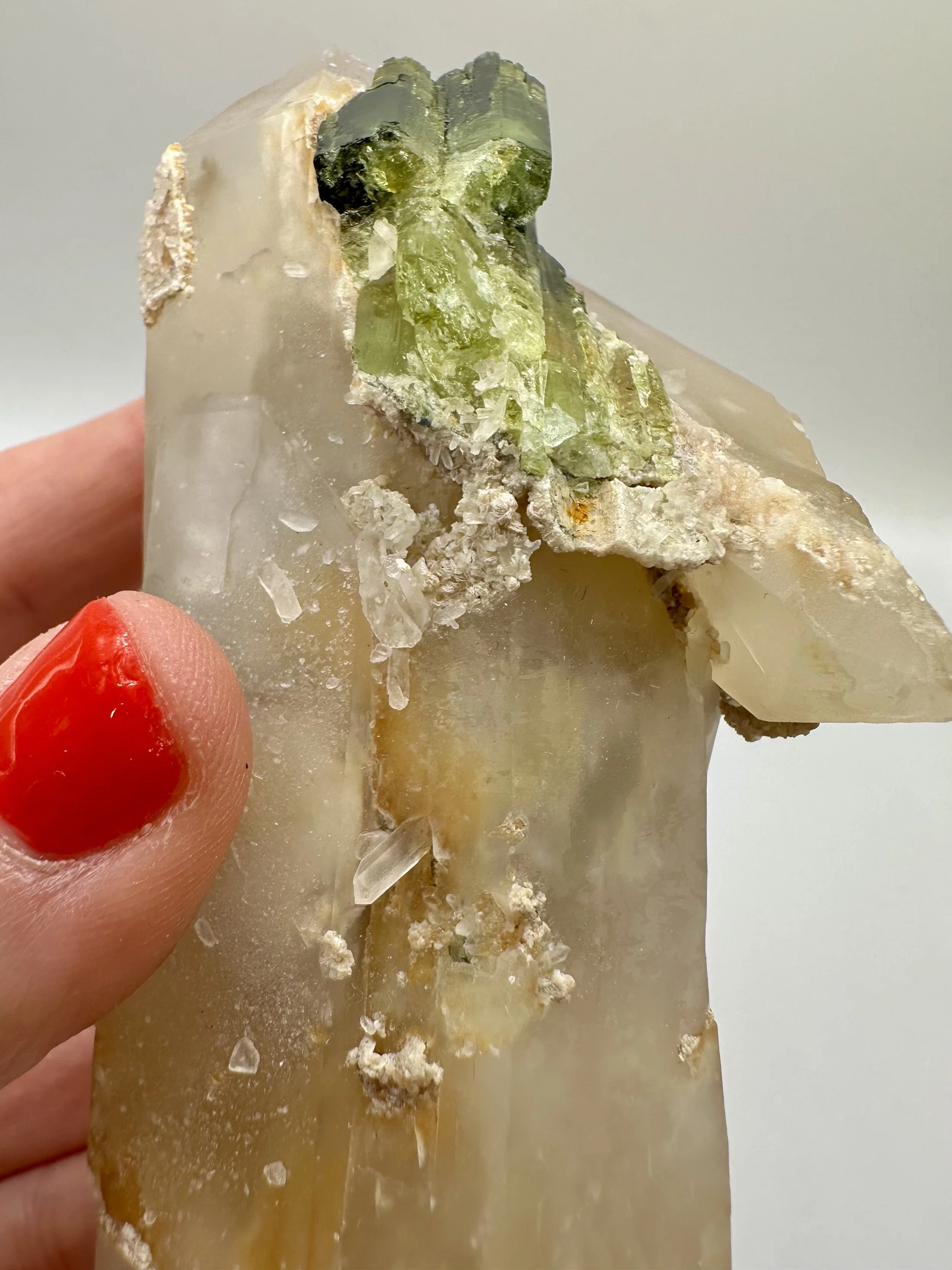 Photo Apr 04 2026, 2 42 47 PM.jpg