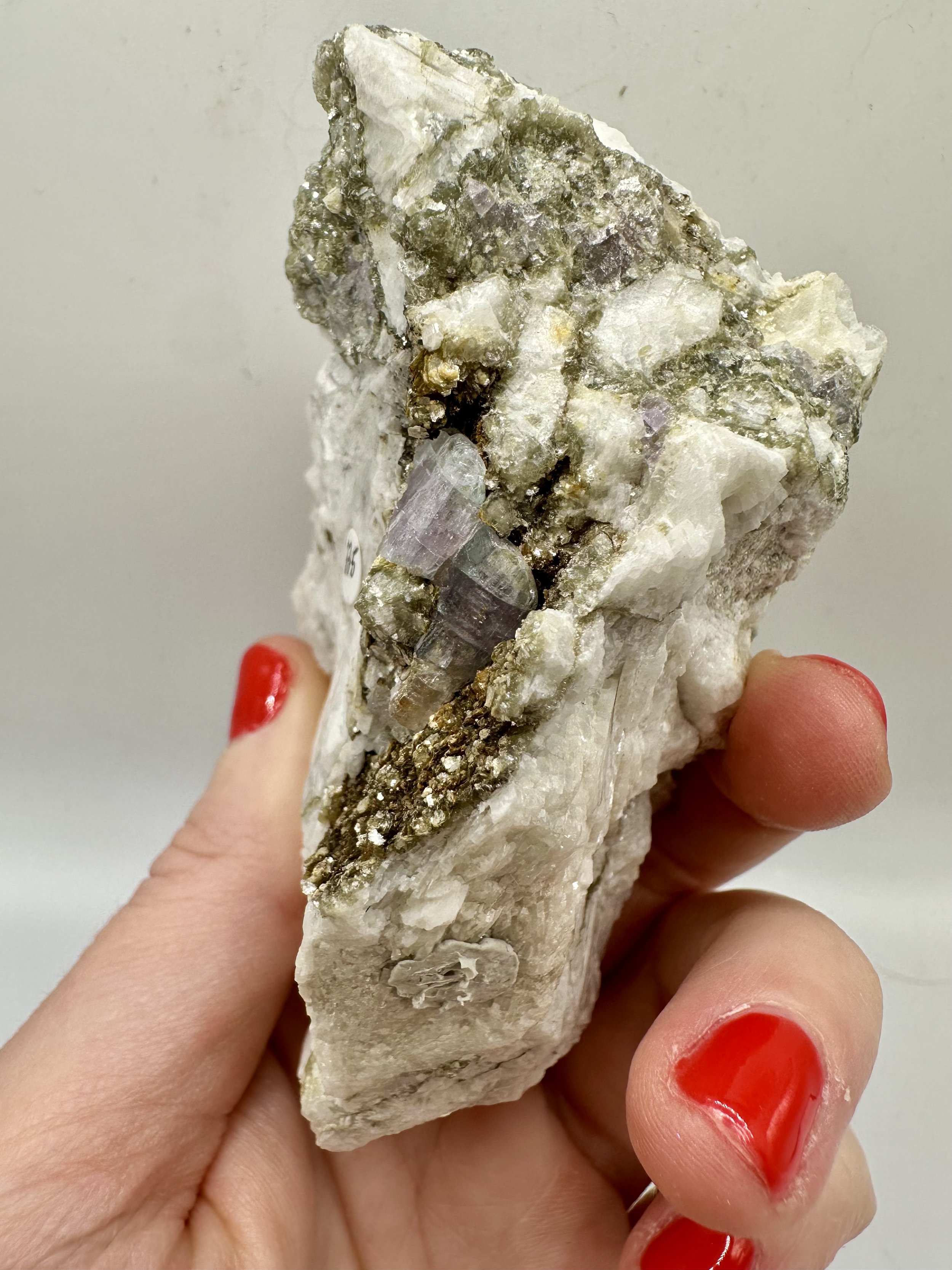 Photo Apr 04 2026, 2 39 51 PM.jpg