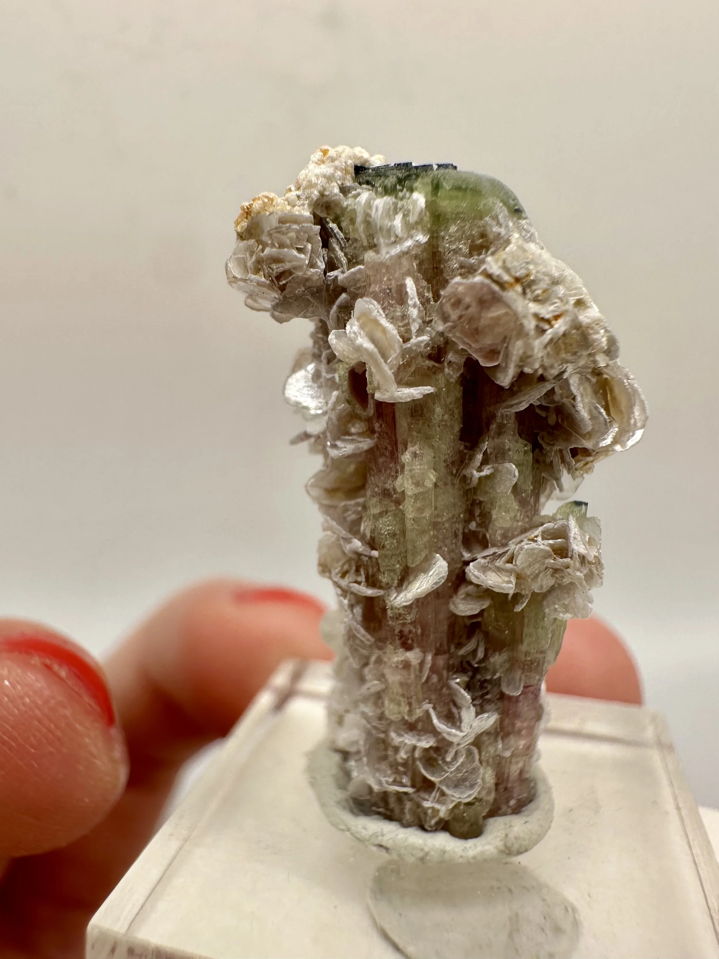 Photo Apr 04 2026, 2 52 57 PM.jpg