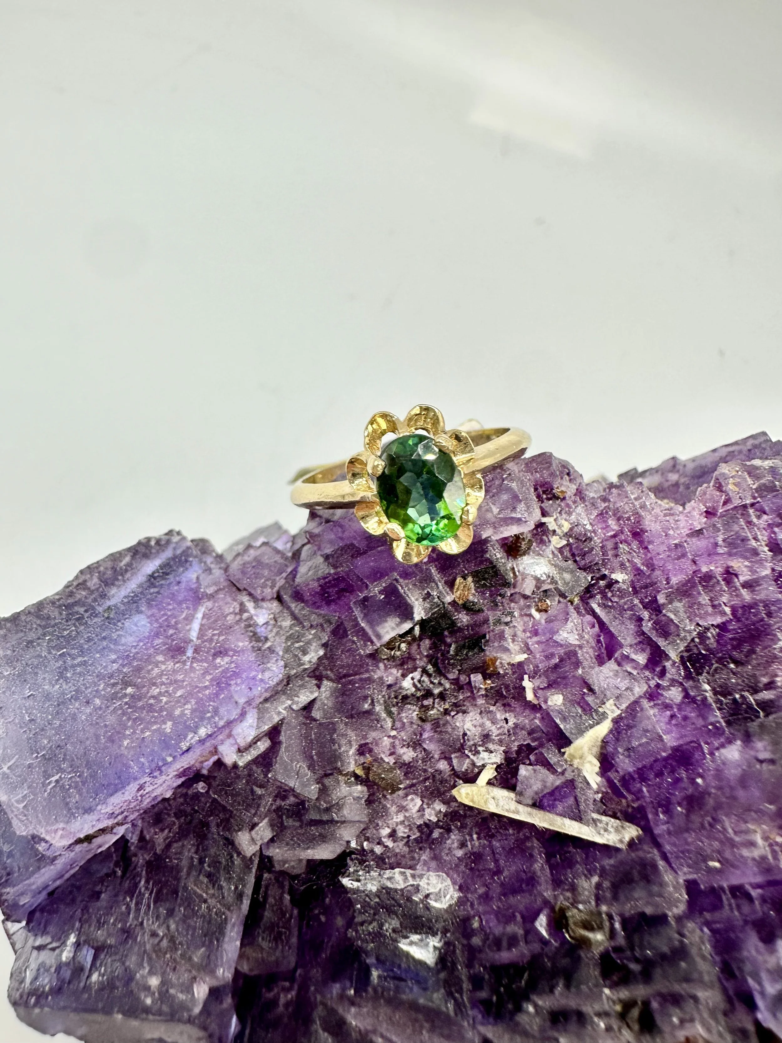 Photo Jan 10 2026, 3 31 27 PM.jpg