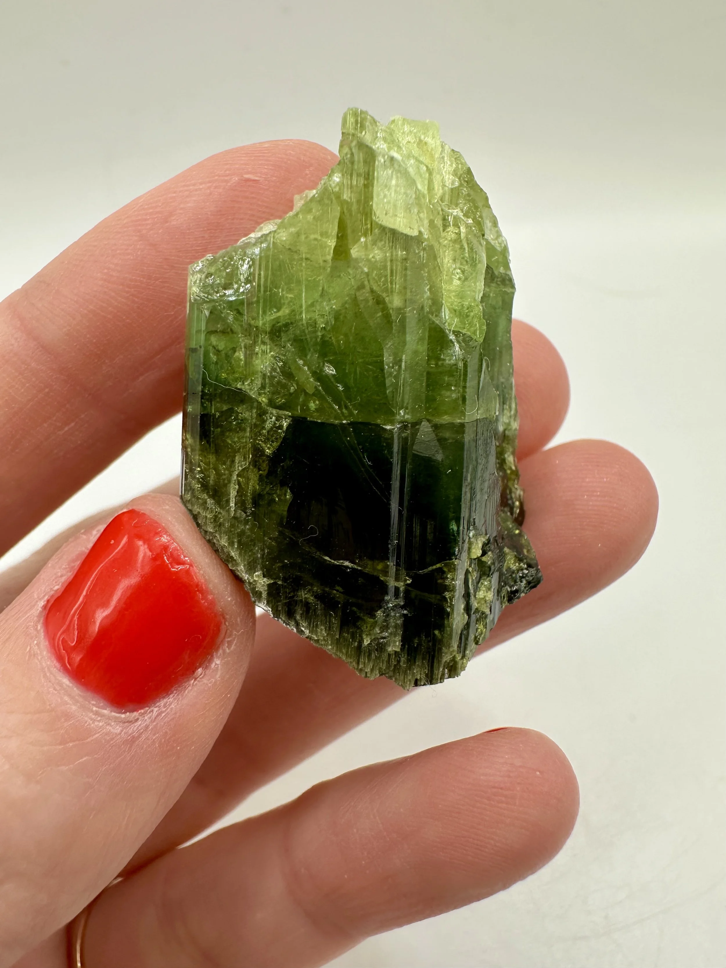 Photo Apr 04 2026, 2 37 01 PM.jpg