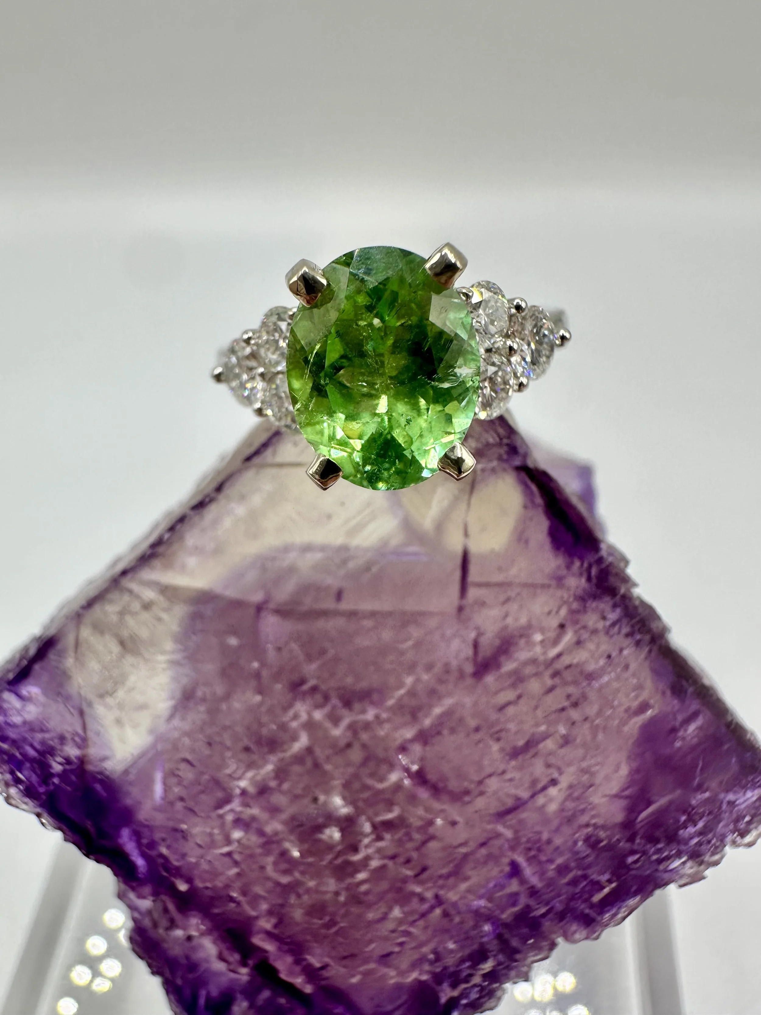 Photo Feb 14 2026, 12 00 41 PM.jpg