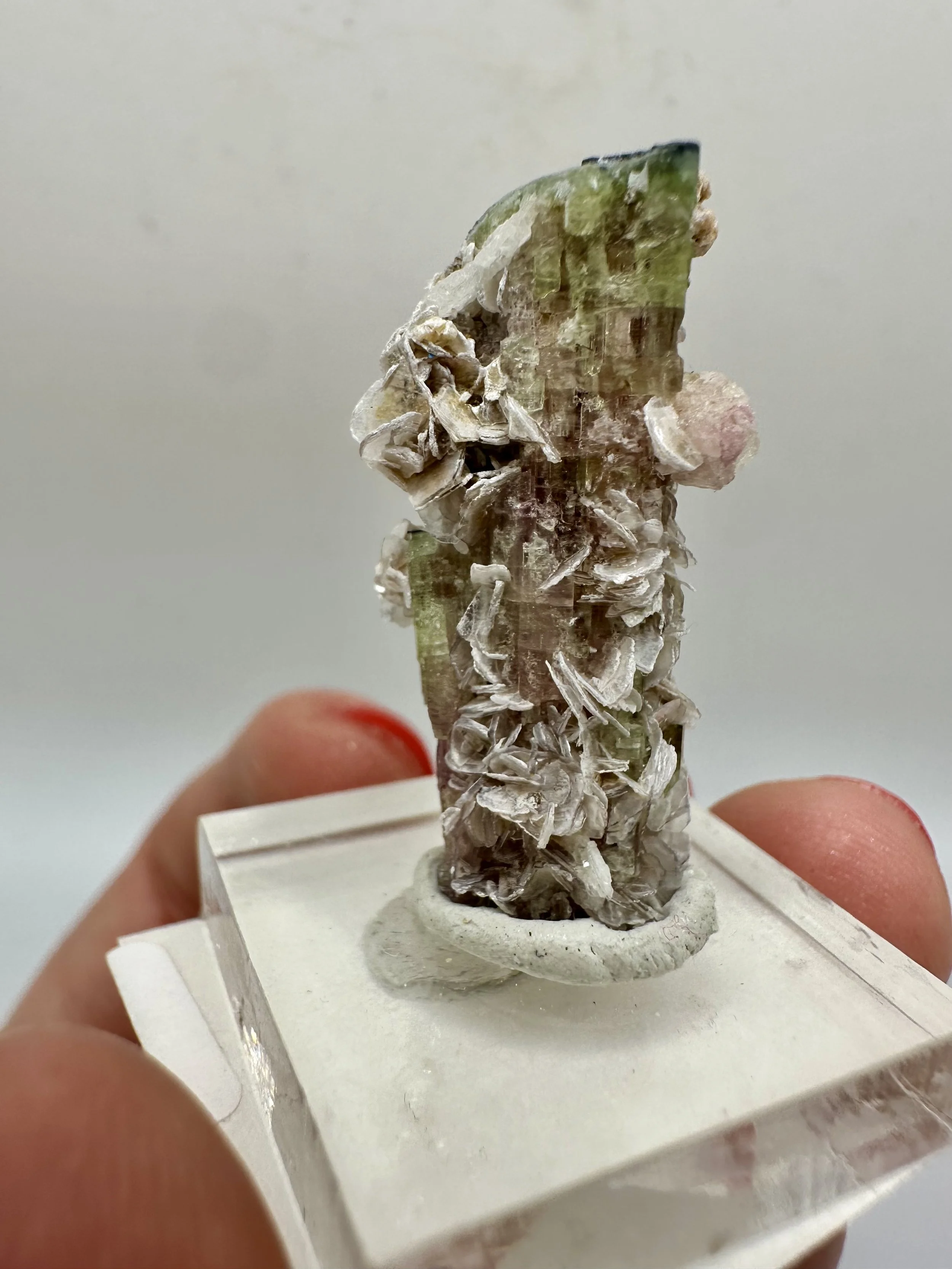 Photo Apr 04 2026, 2 52 42 PM.jpg