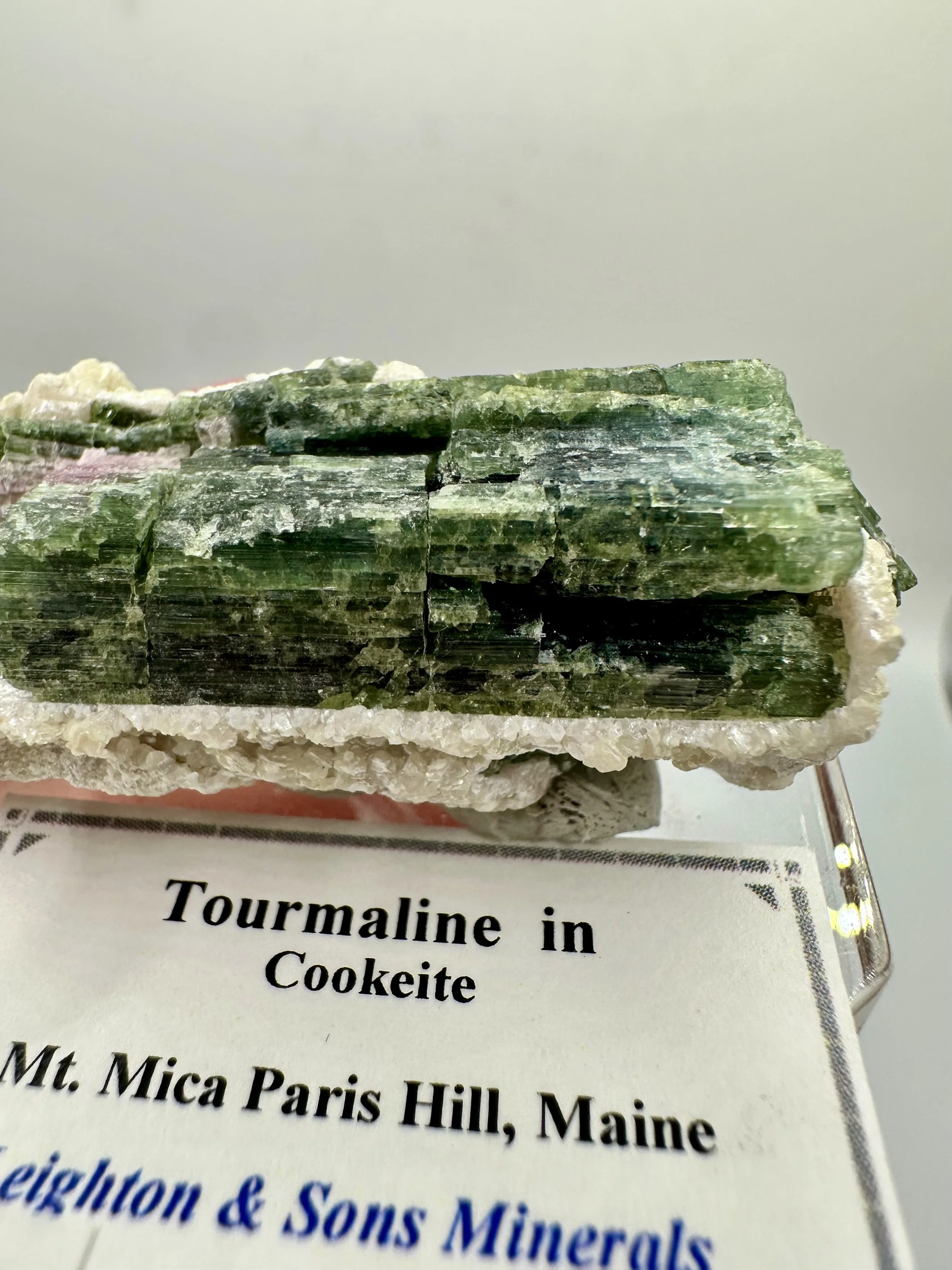 Photo Apr 04 2026, 2 45 48 PM.jpg