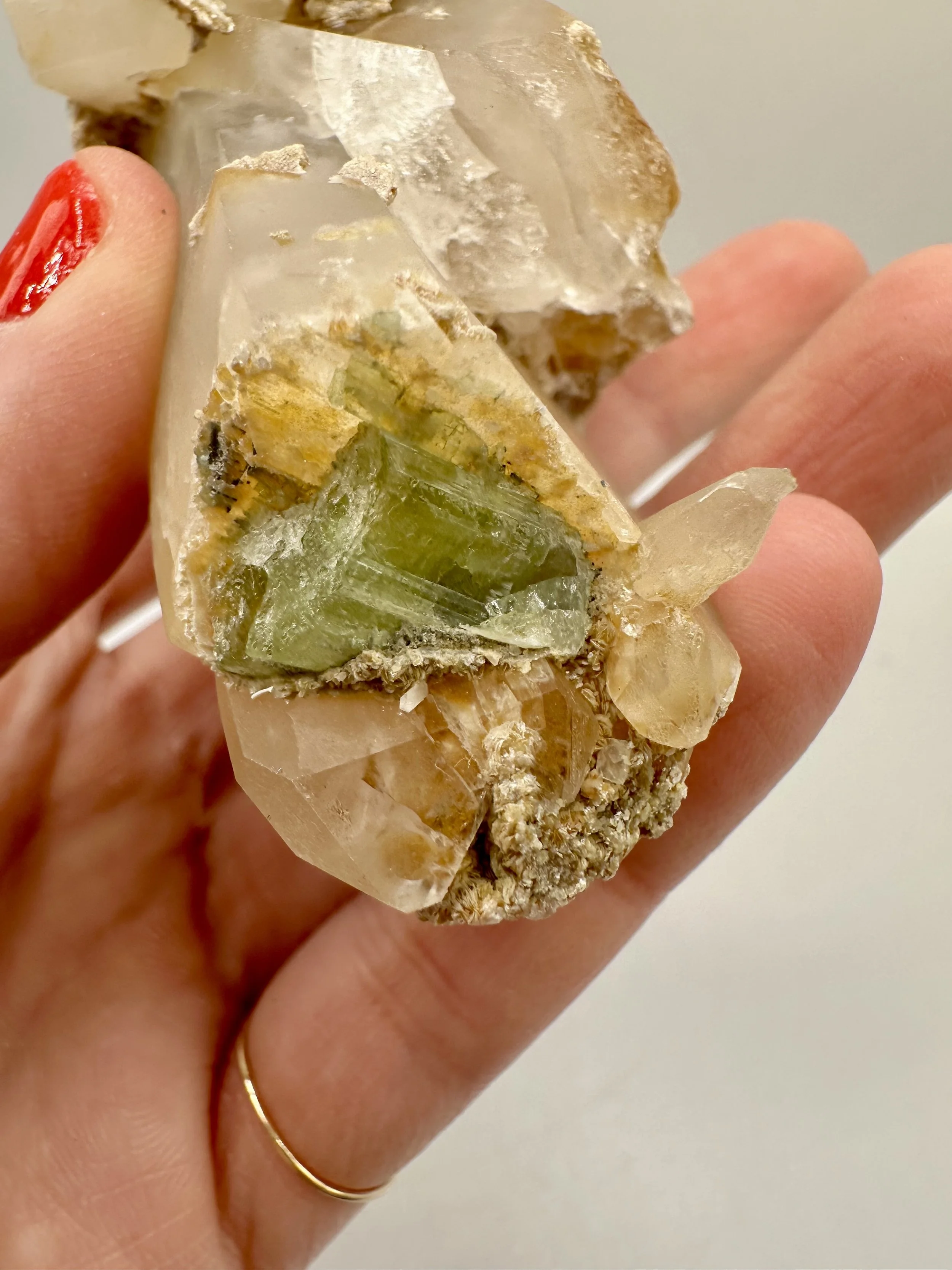 Photo Apr 04 2026, 2 42 54 PM.jpg