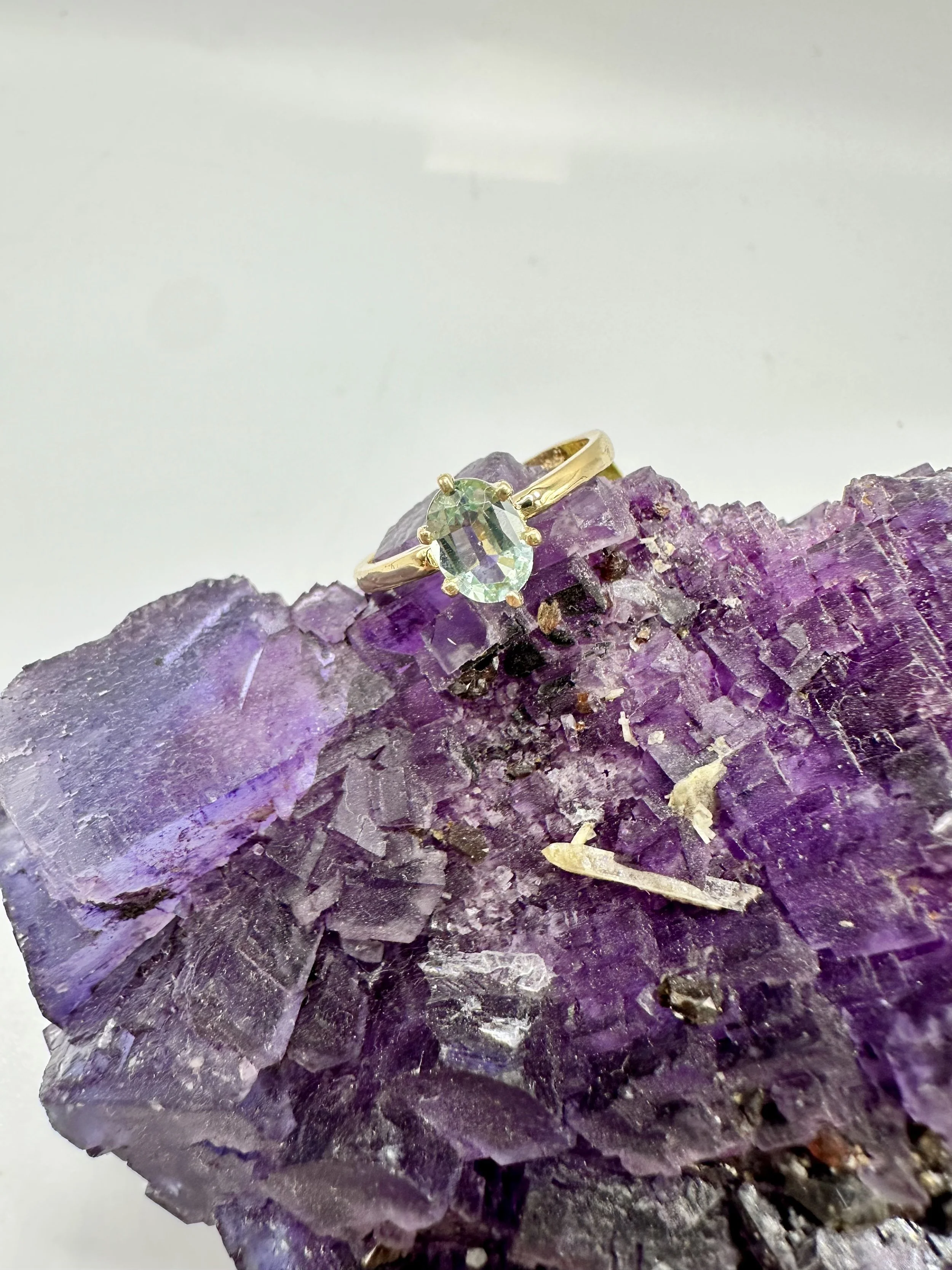 Photo Jan 10 2026, 3 33 49 PM.jpg