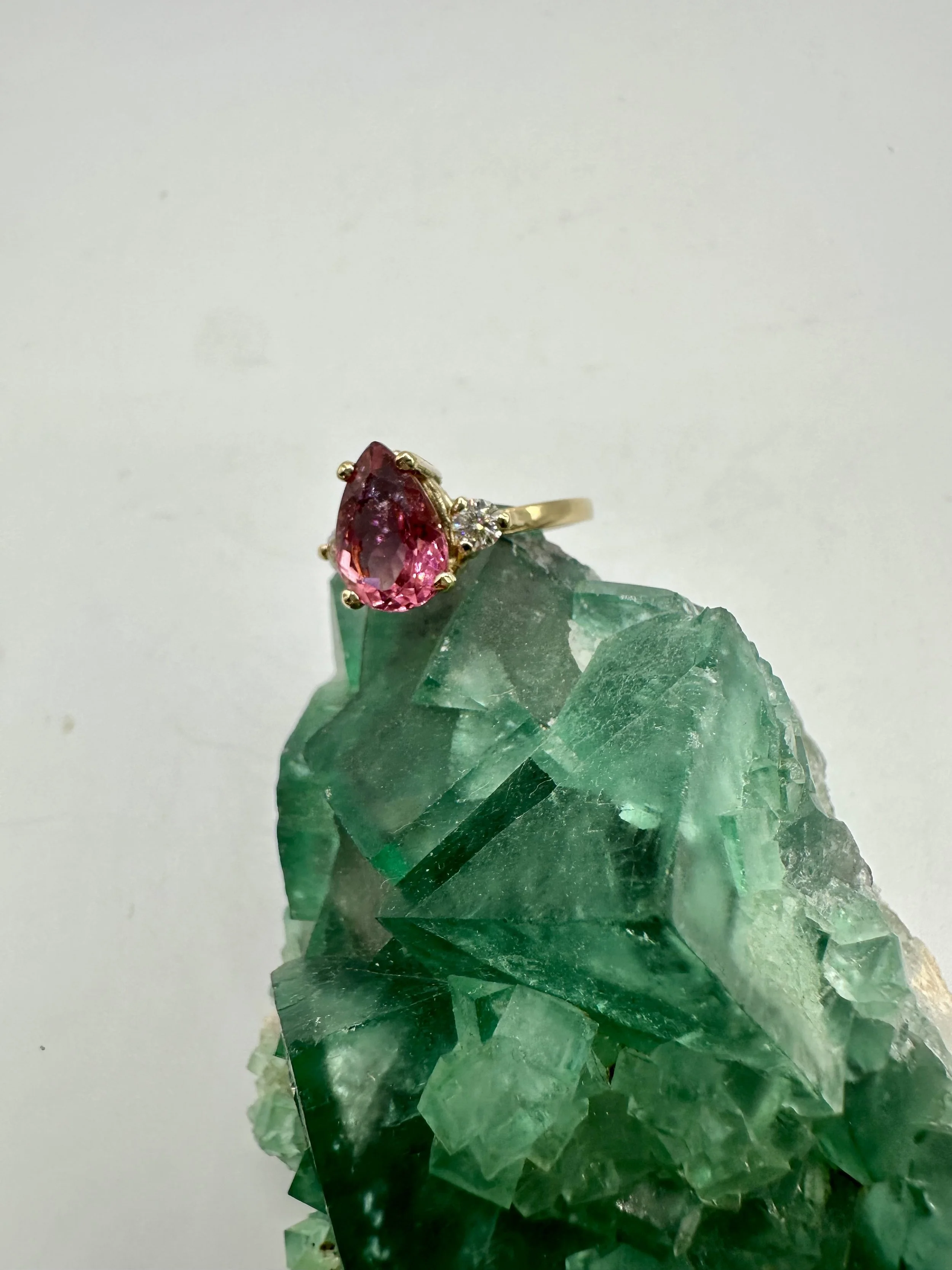 Photo Apr 04 2026, 12 01 45 PM.jpg