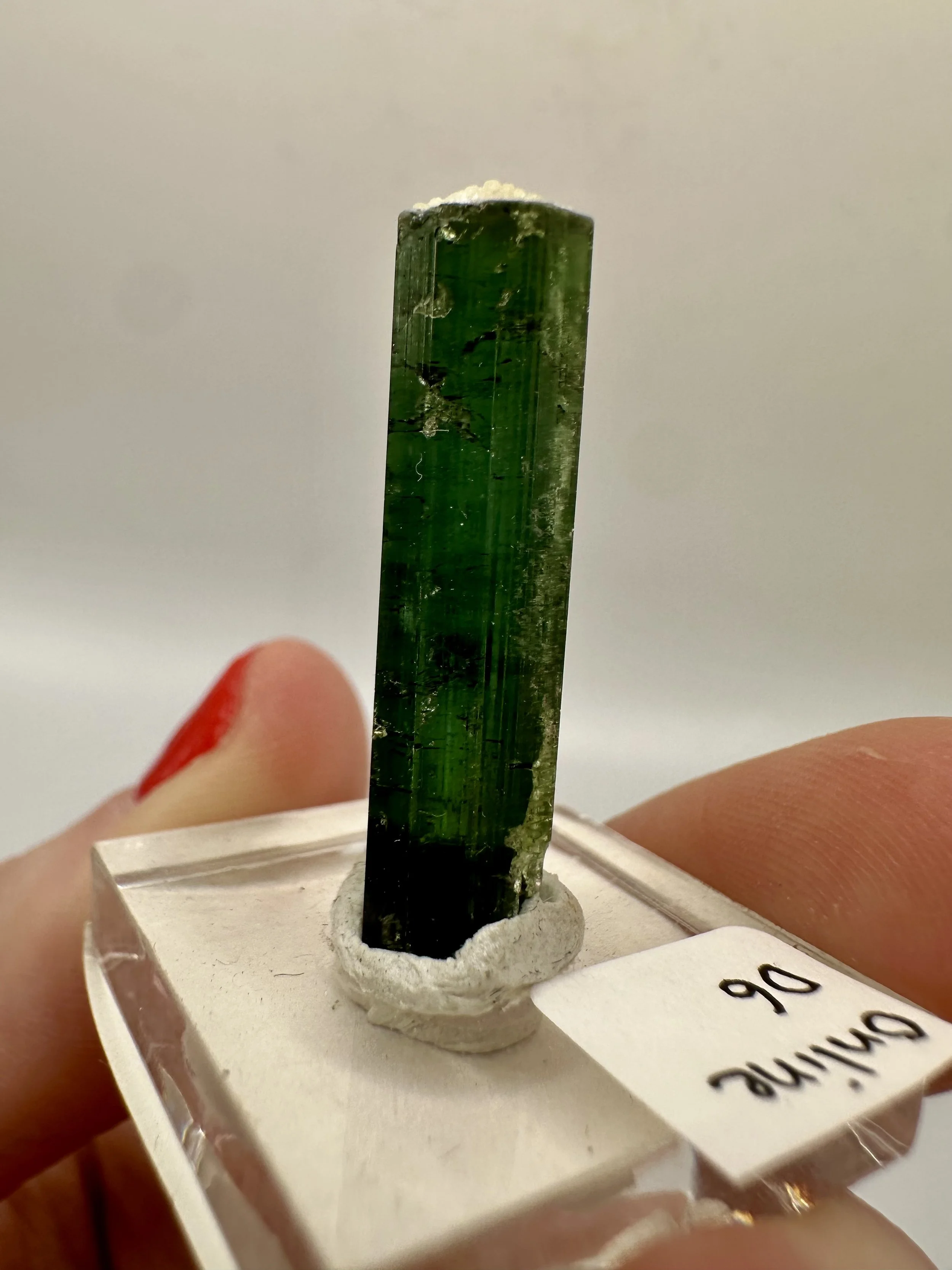 Photo Apr 04 2026, 2 48 51 PM.jpg