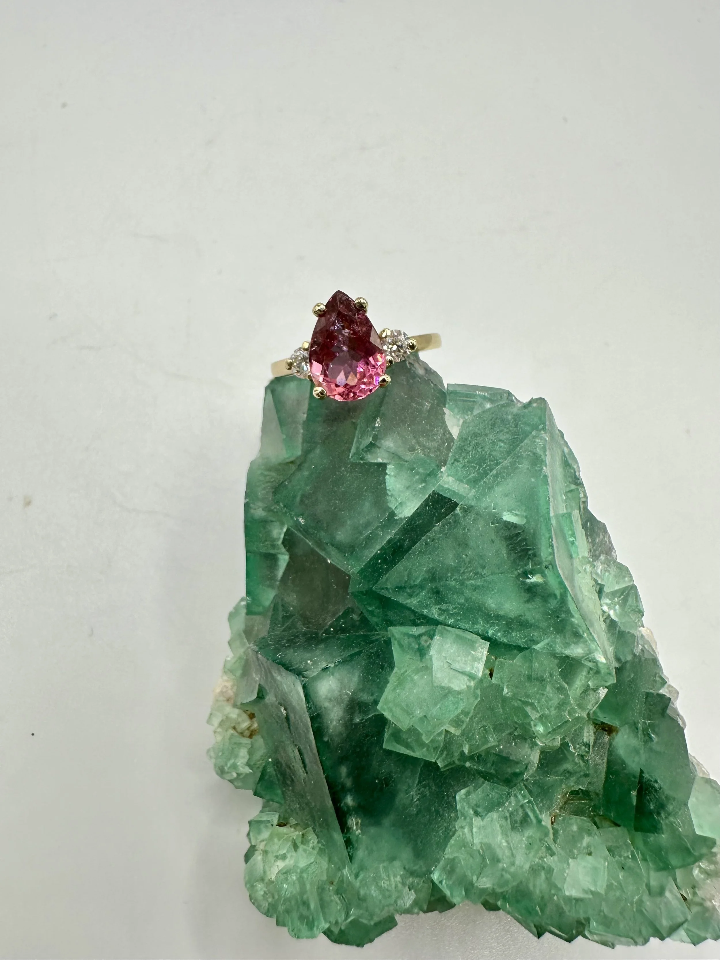 Photo Apr 04 2026, 12 01 42 PM.jpg