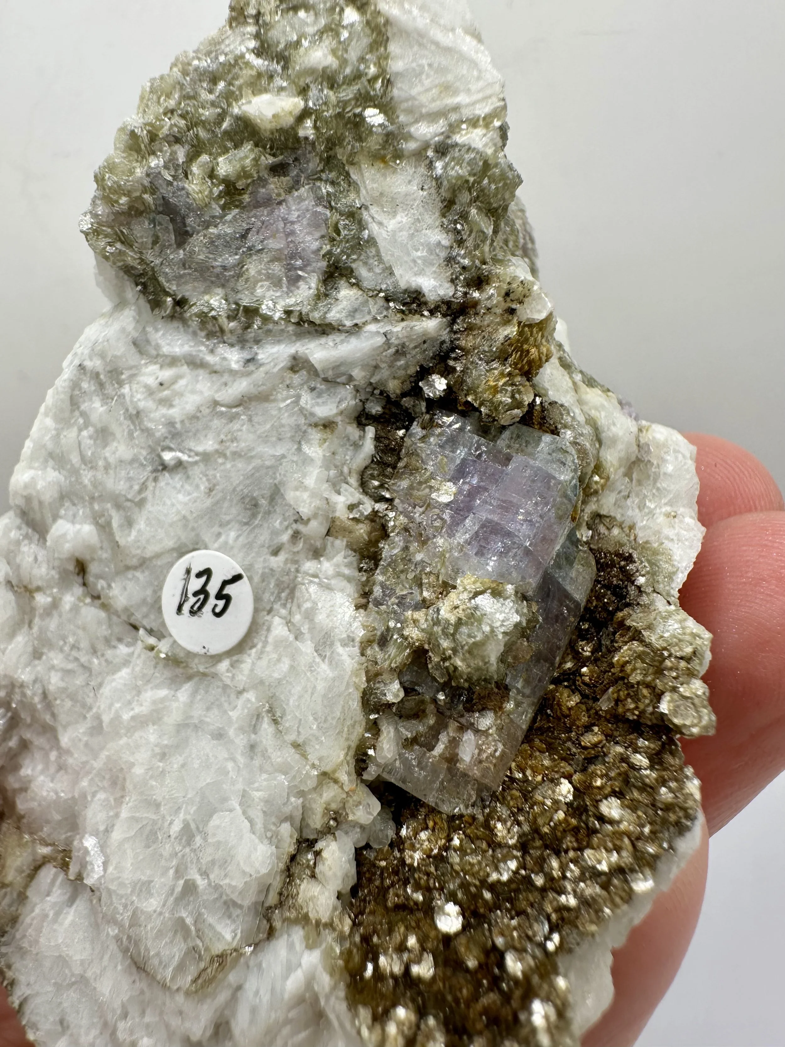 Photo Apr 04 2026, 2 40 02 PM.jpg