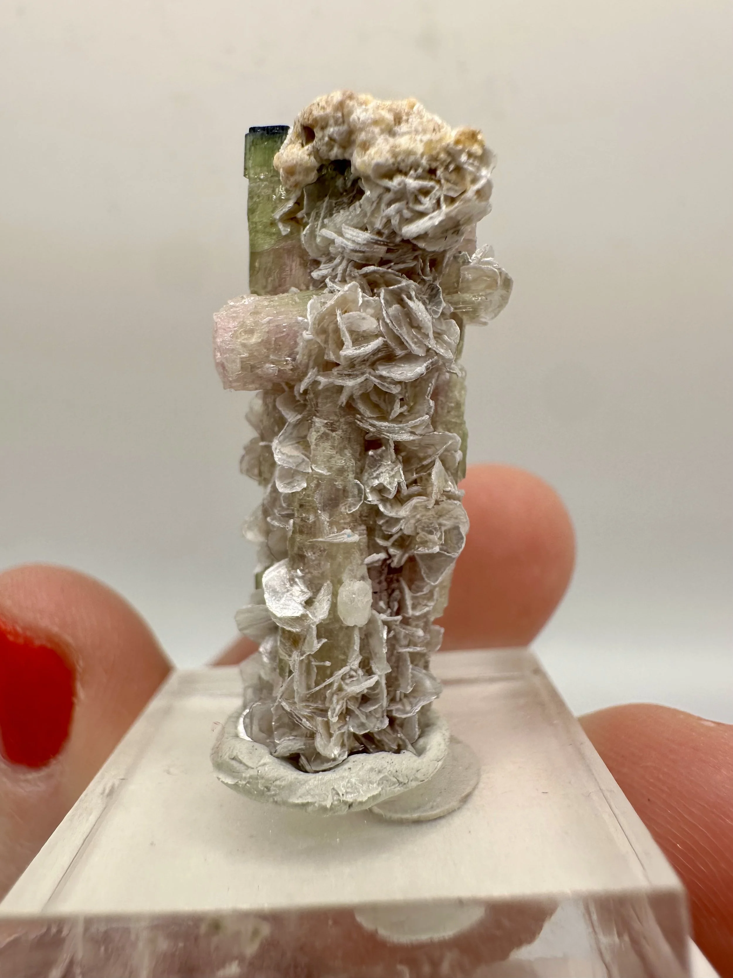 Photo Apr 04 2026, 2 52 33 PM.jpg