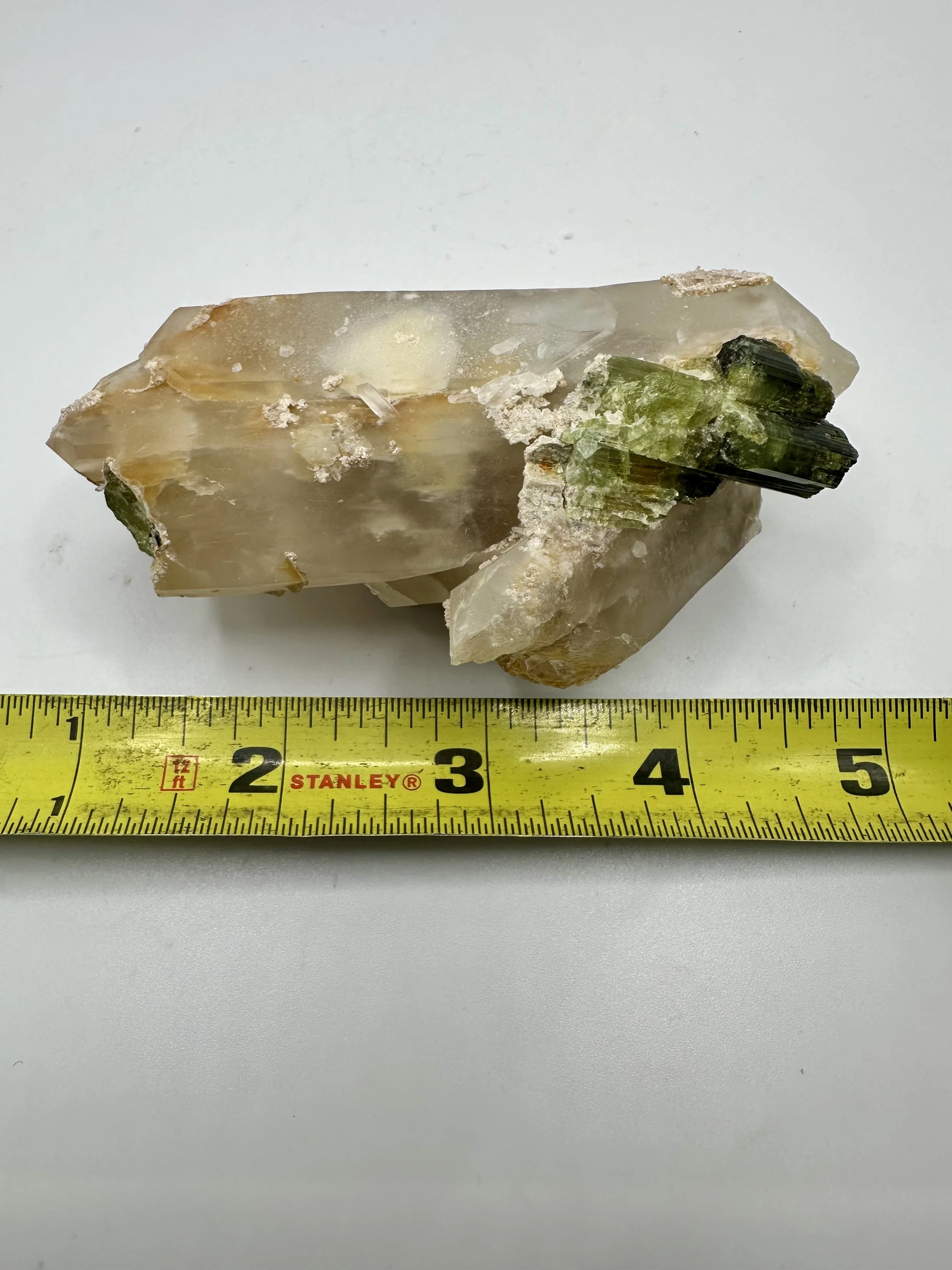 Photo Apr 04 2026, 2 42 34 PM.jpg