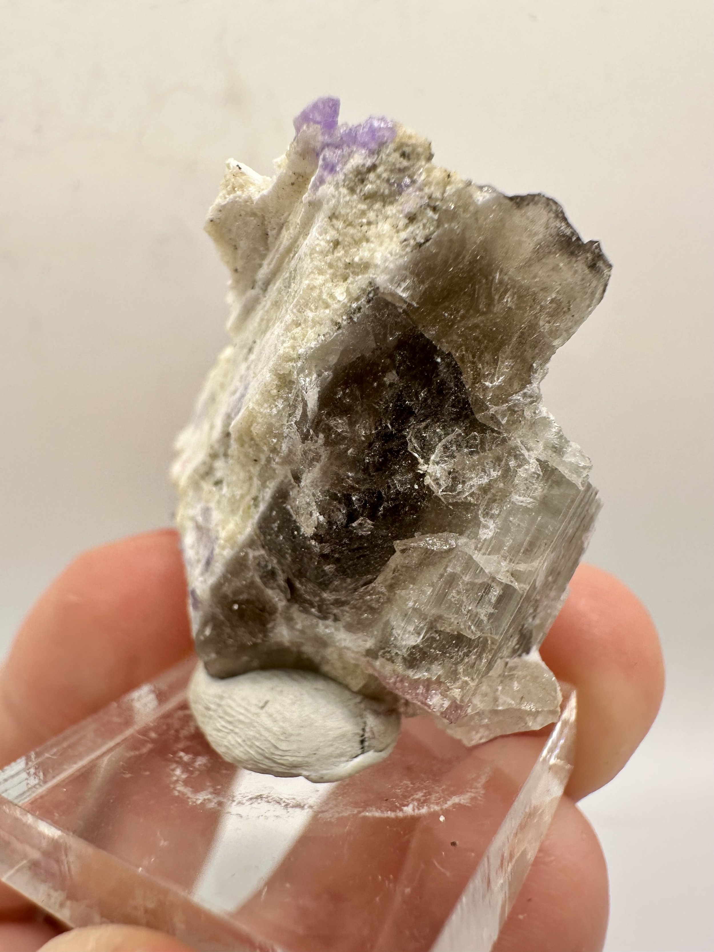 Photo Apr 04 2026, 2 54 39 PM.jpg