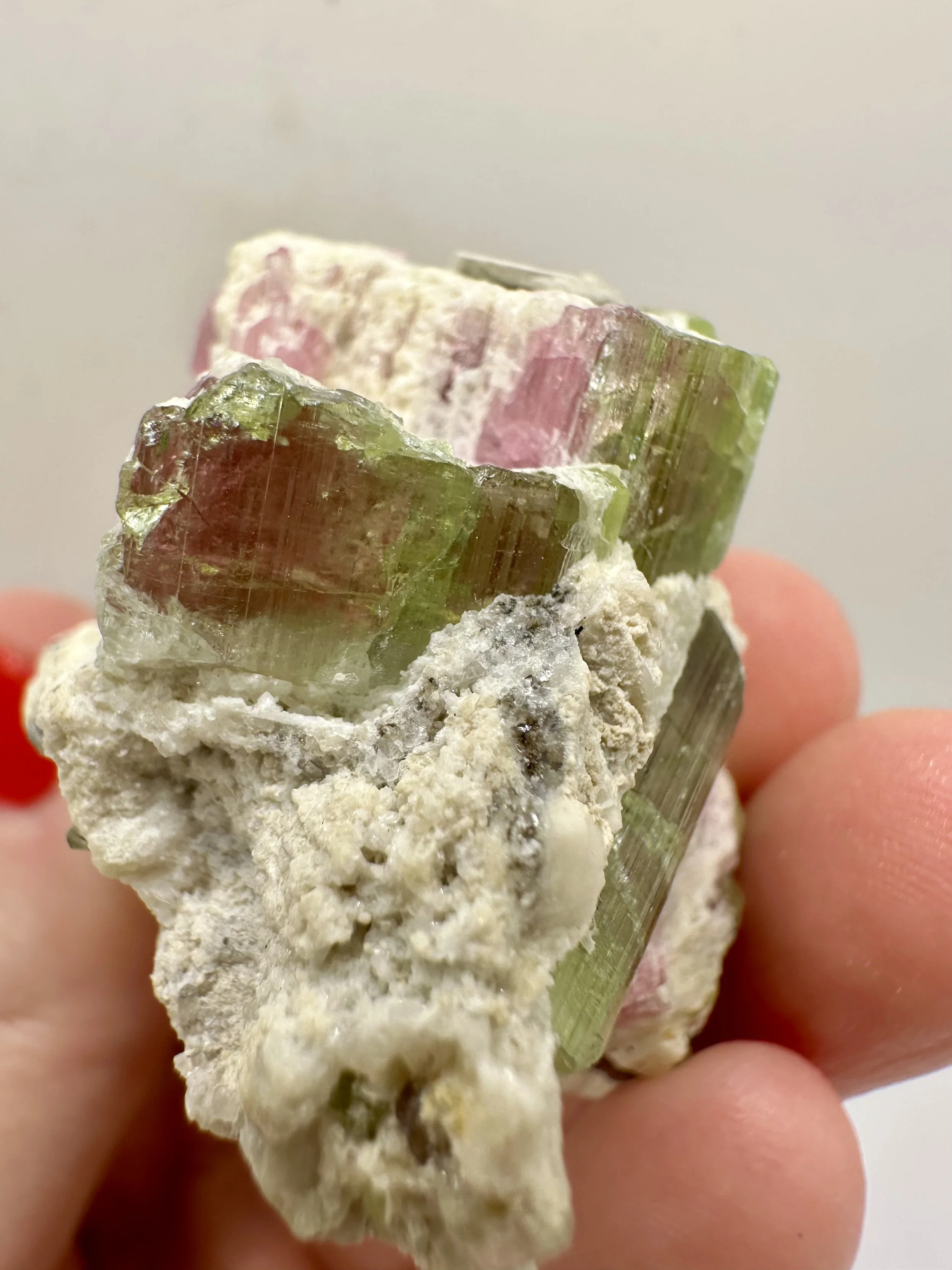 Photo Apr 04 2026, 2 50 41 PM.jpg