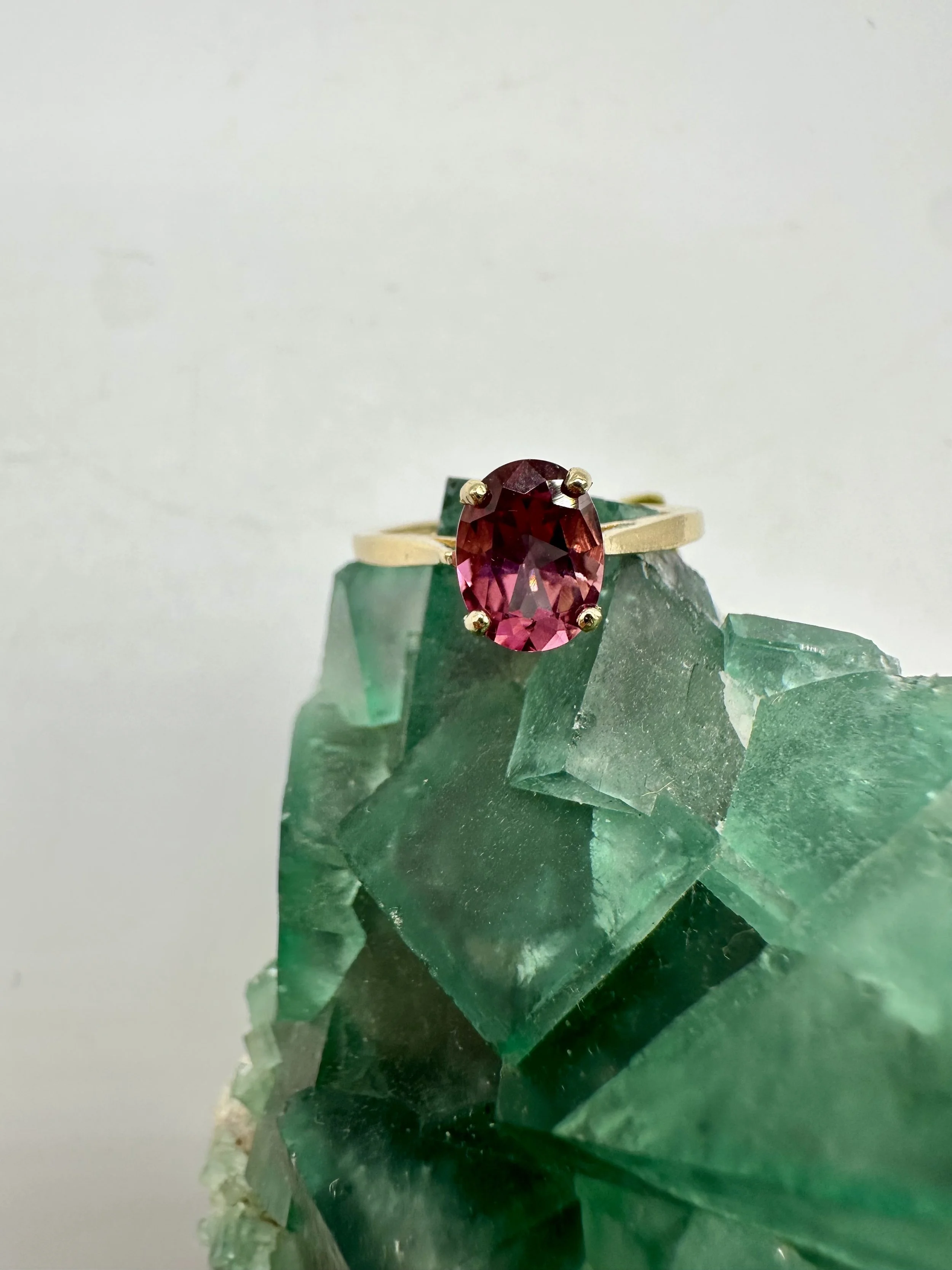 Photo Apr 04 2026, 12 02 35 PM.jpg