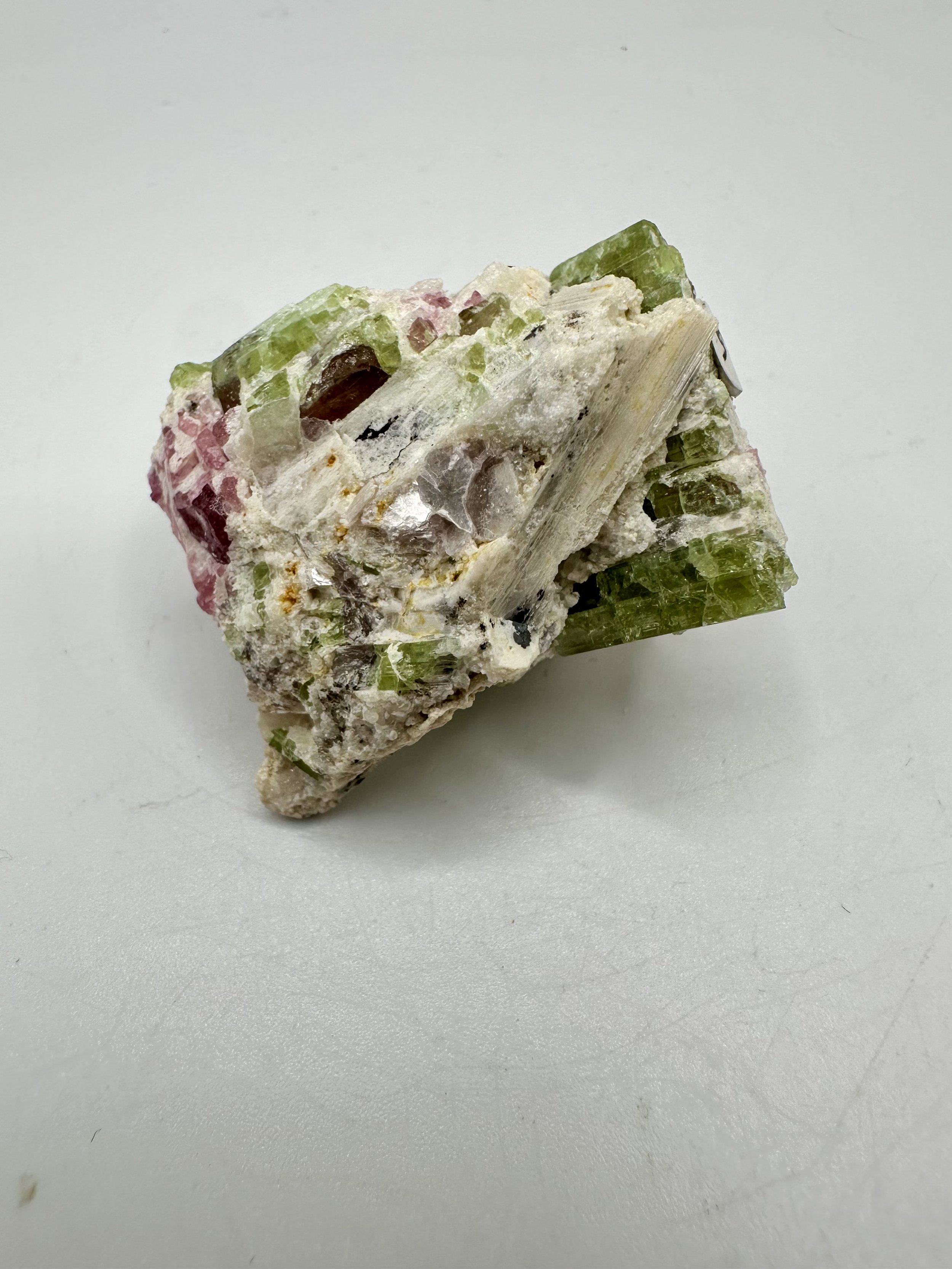 Photo Apr 04 2026, 2 50 05 PM.jpg