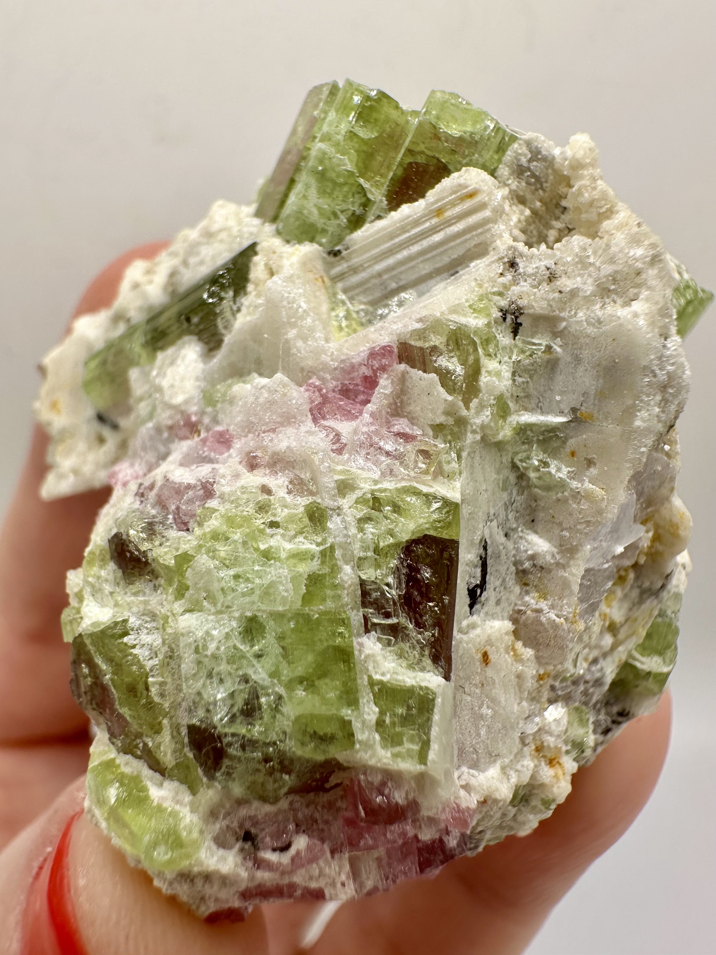 Photo Apr 04 2026, 2 50 18 PM.jpg