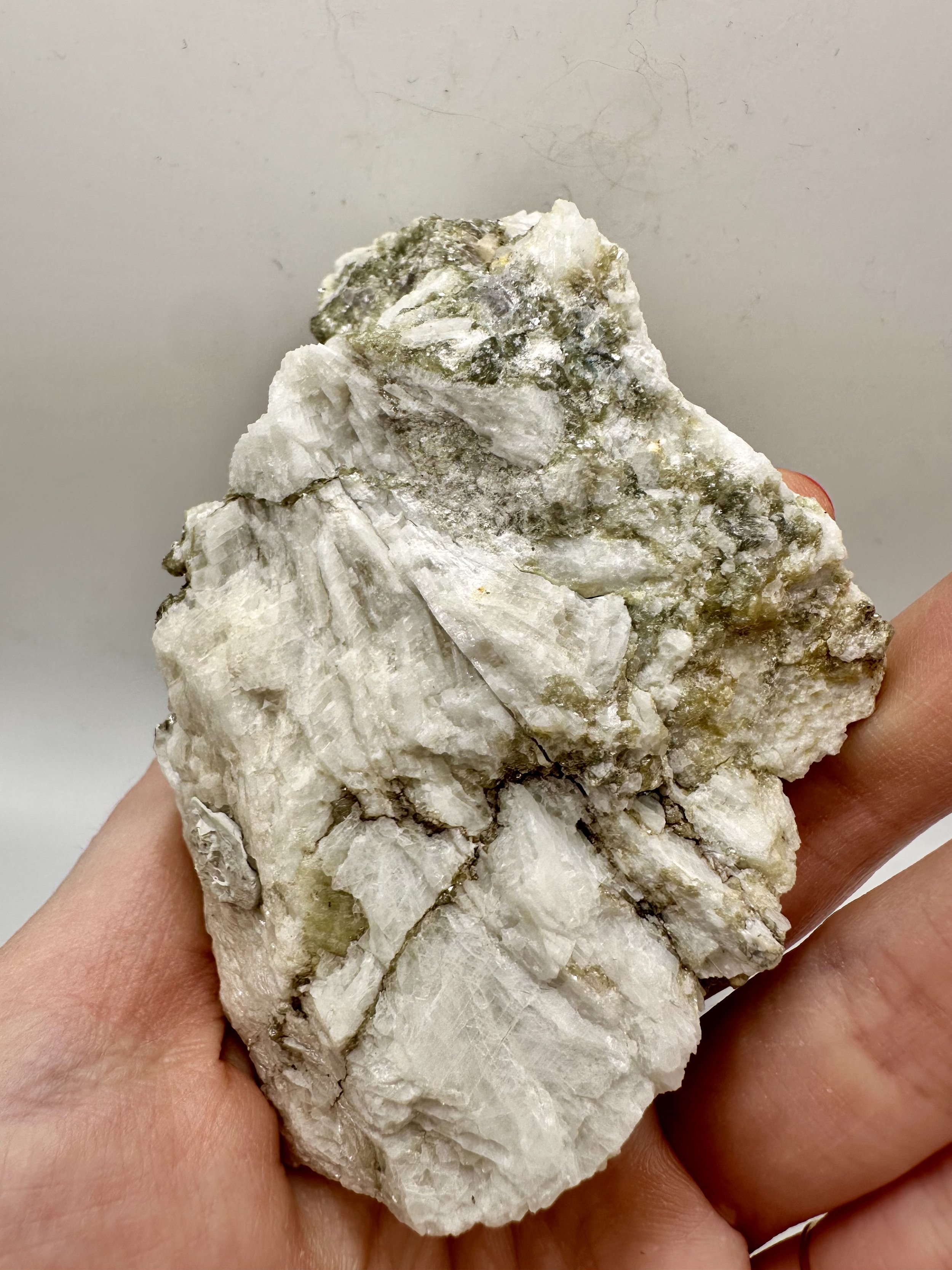 Photo Apr 04 2026, 2 39 55 PM.jpg