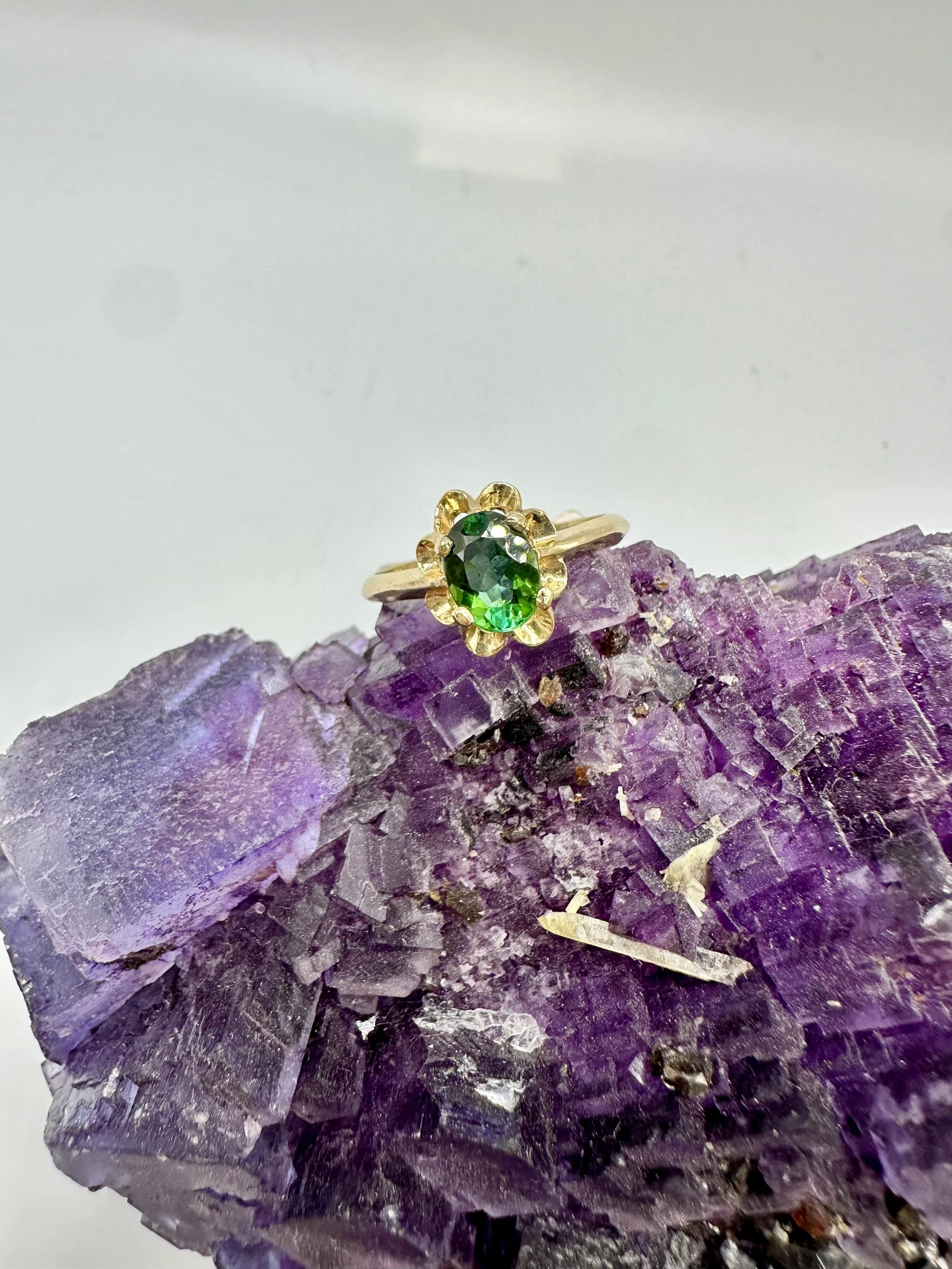 Photo Jan 10 2026, 3 31 33 PM.jpg